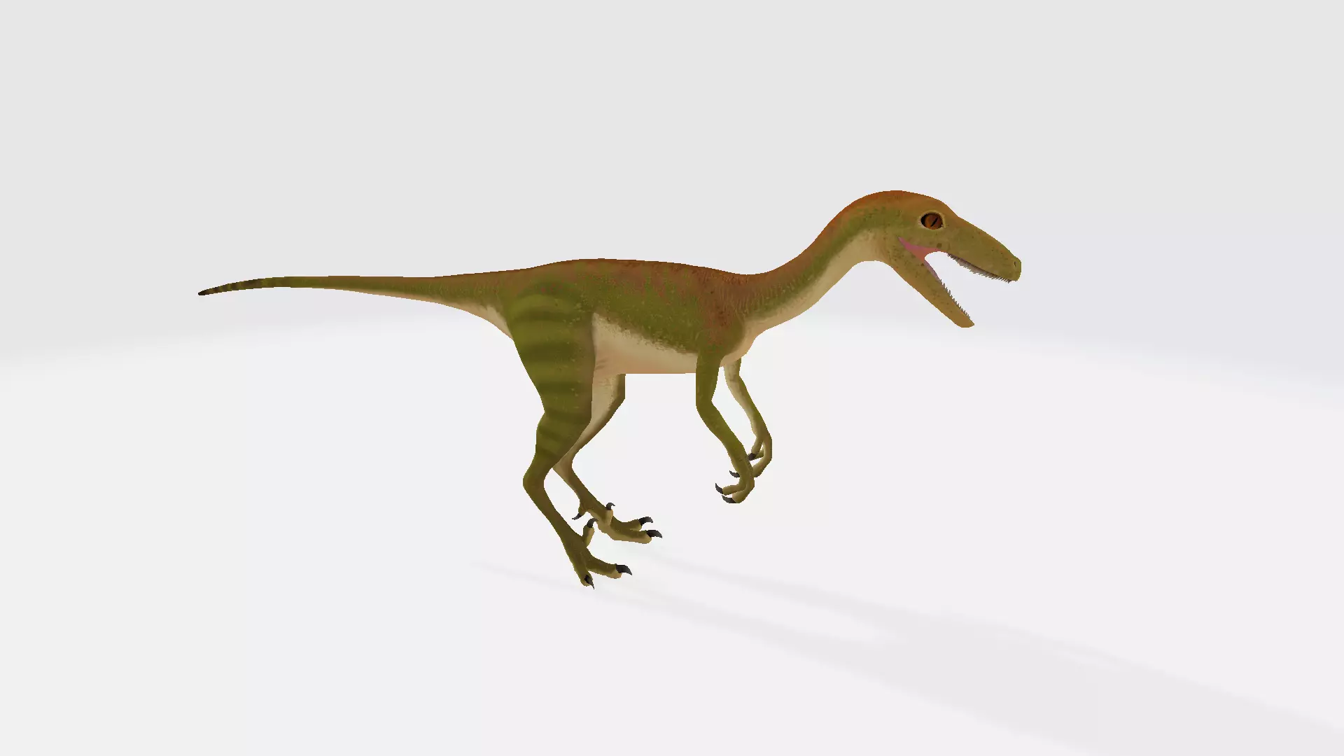 Troodon dinosaur 3D model_0