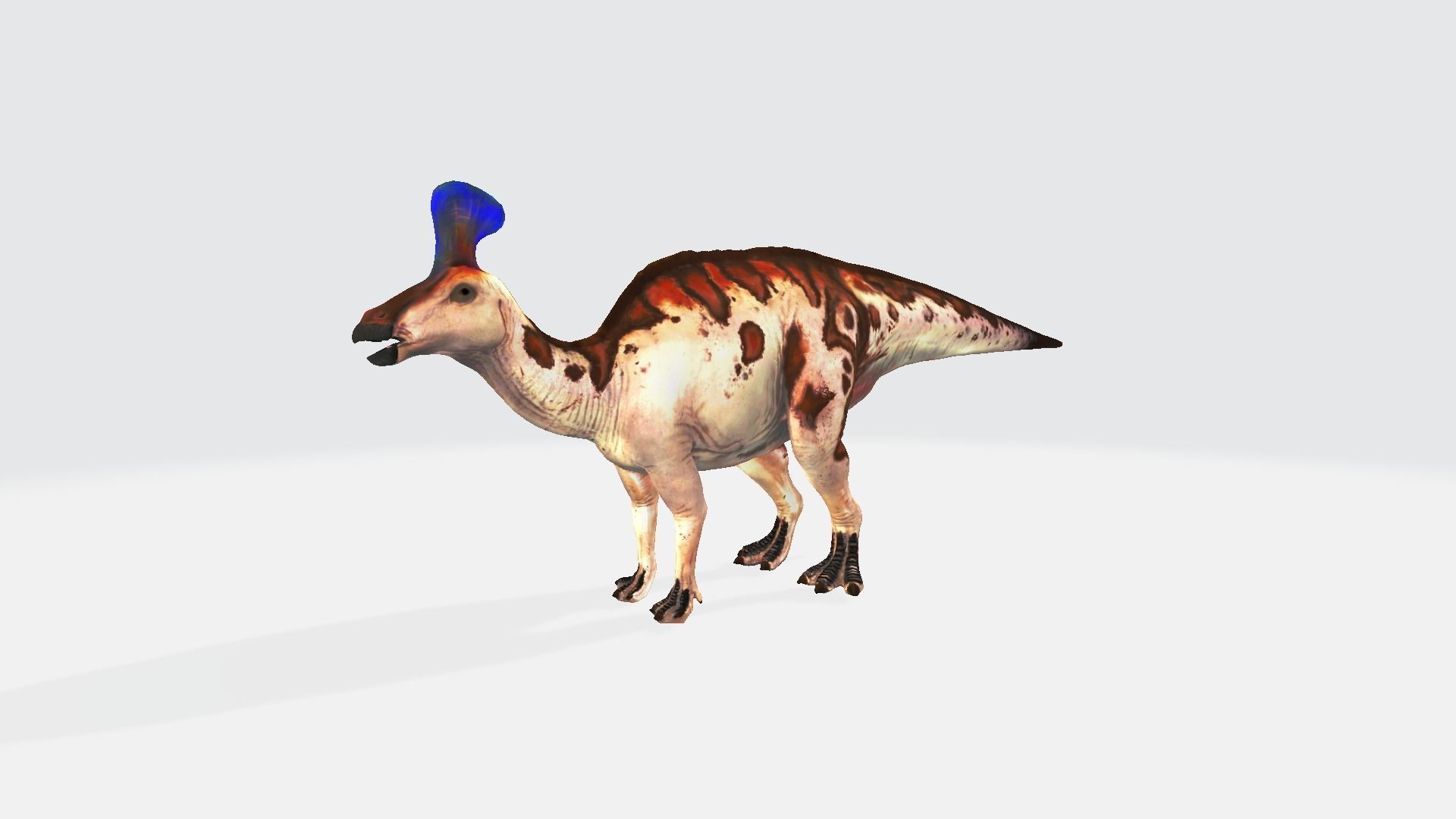 Tsintaosaurus dinosaur 3D model_1