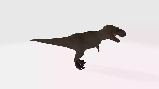 Tyrannosaurus t - rex 3D model