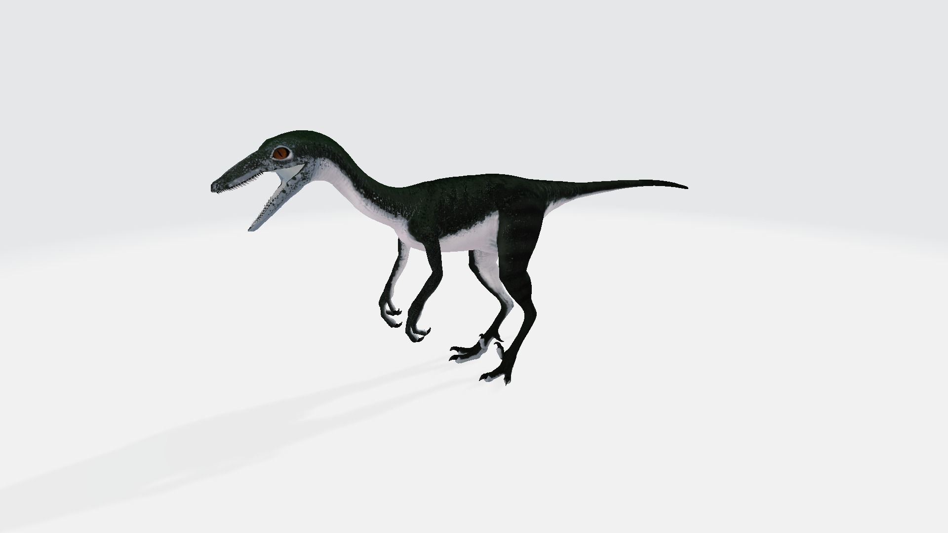 Unenlagia dinosaur 3D model_1