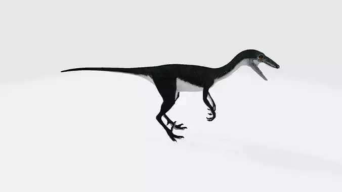 Unenlagia dinosaur
