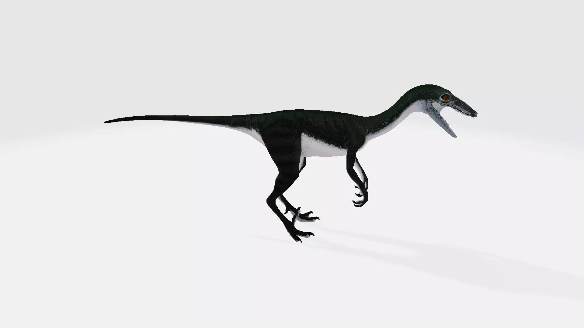 Unenlagia dinosaur 3D model_0
