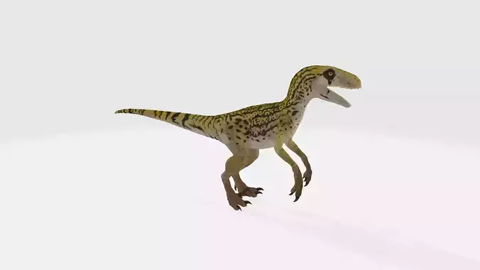 Utahraptor dinosaur