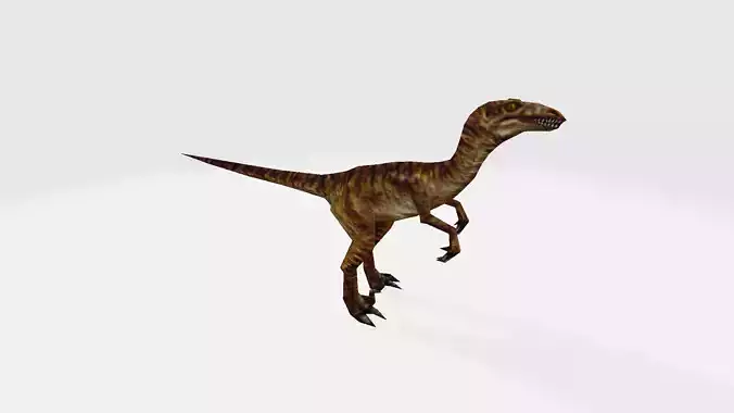Velciraptor dinosaur