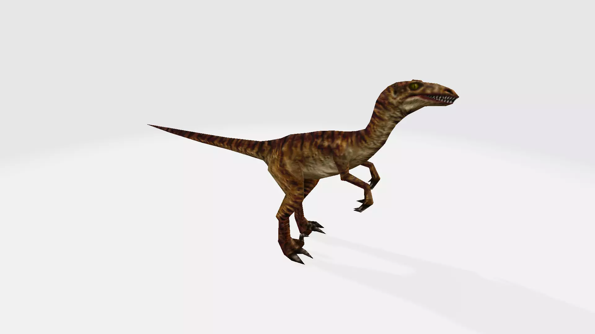 Velciraptor dinosaur 3D model_0