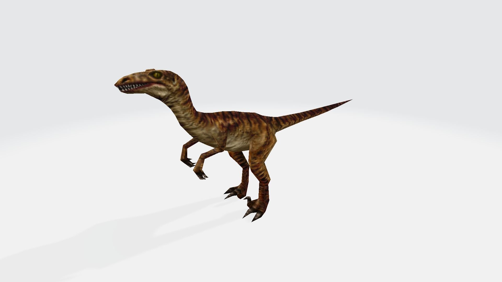 Velciraptor dinosaur 3D model_1
