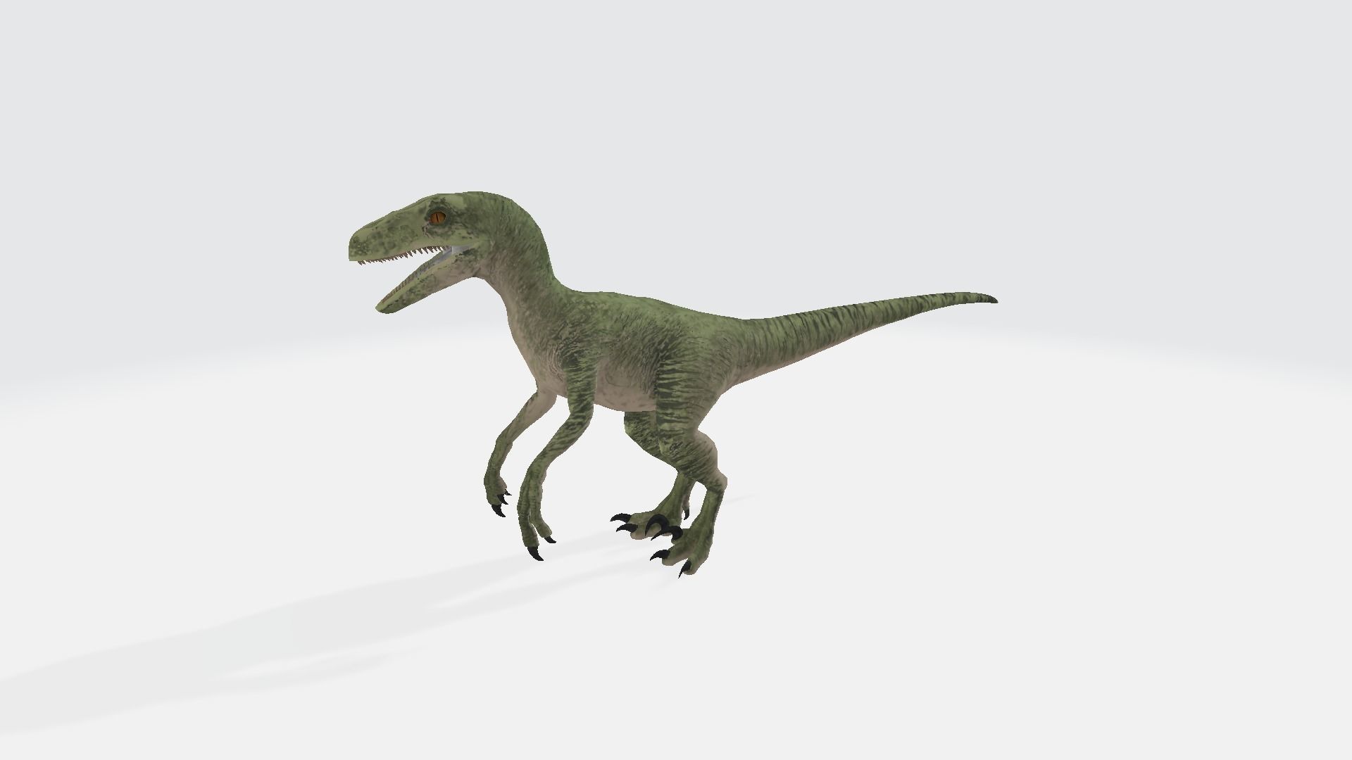 Velociraptor dinosaur 3D model_1