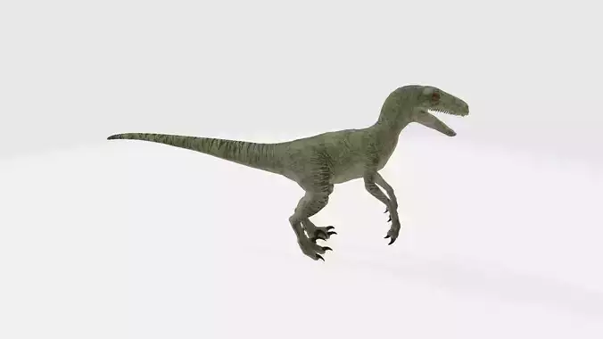 Velociraptor dinosaur