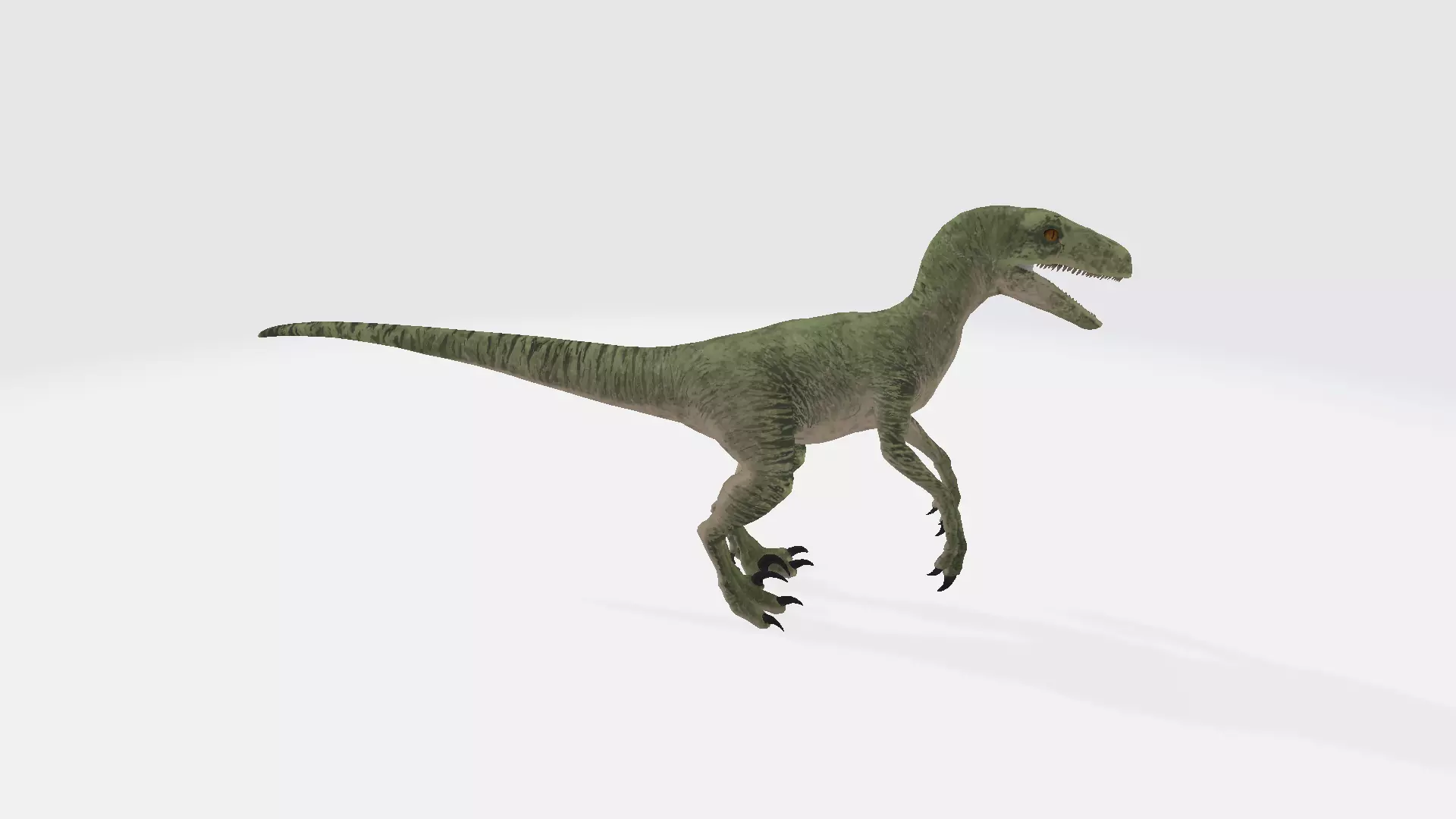 Velociraptor dinosaur 3D model_0