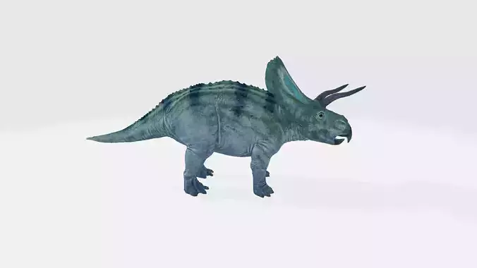 Zuniceratops dinosaur