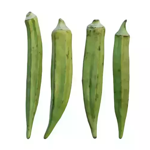 Fresh Okra 02 3D model