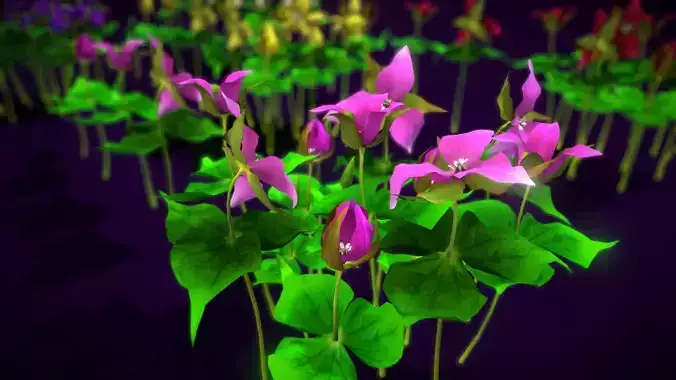 Flower Trillium Erectum Low-poly 3D model