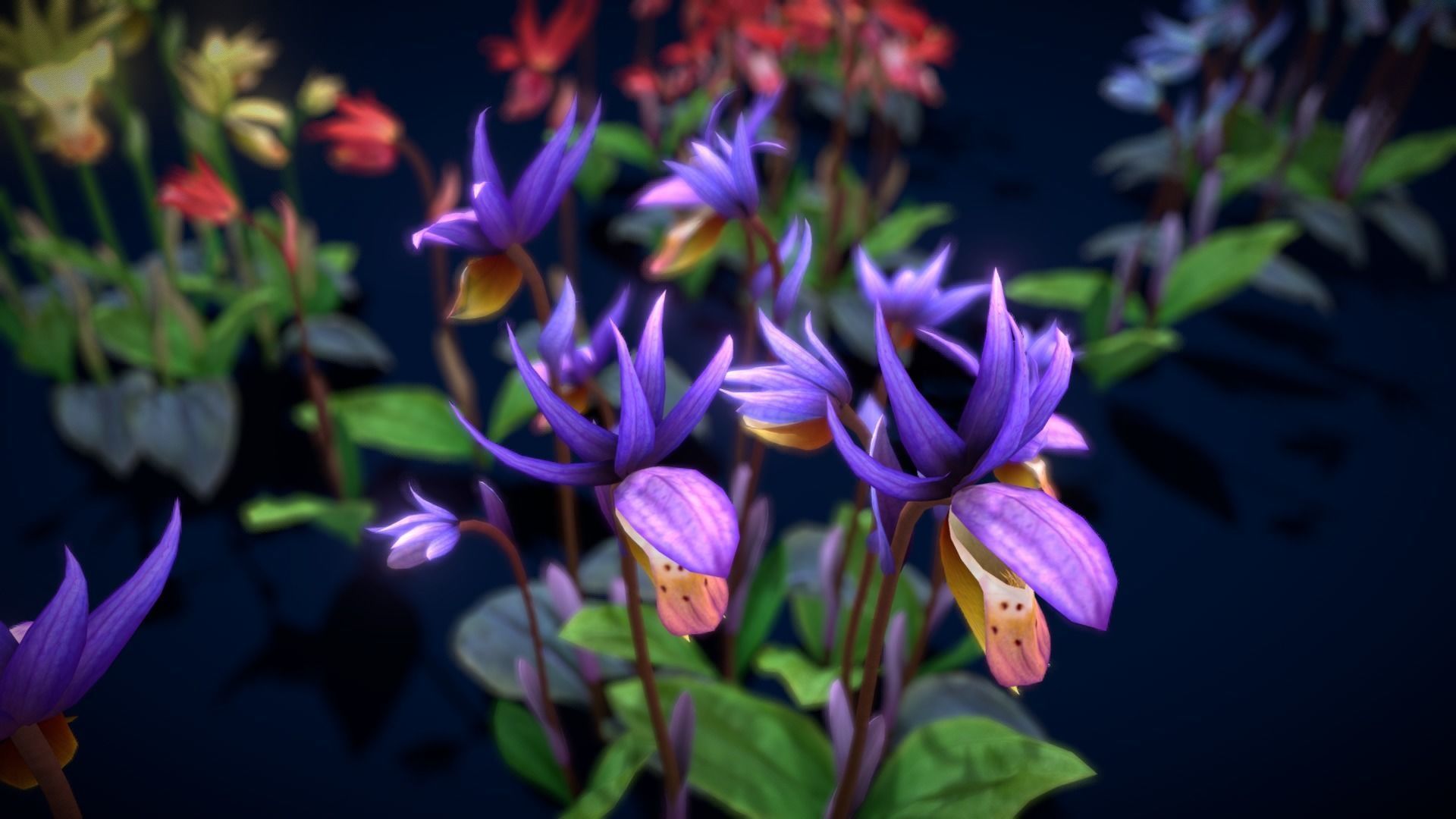 Flower Calypso Bulbosa Low-poly 3D model_3