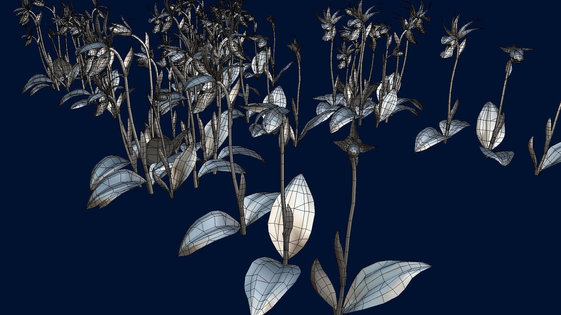 Flower Calypso Bulbosa Low-poly 3D model_17