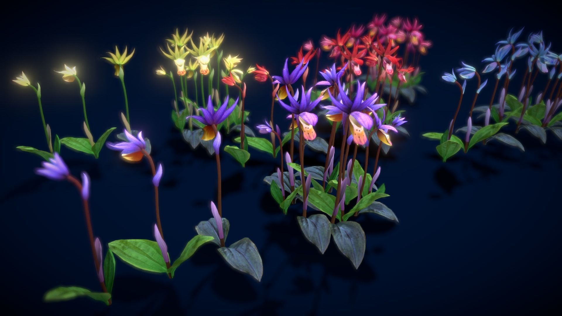 Flower Calypso Bulbosa Low-poly 3D model_13