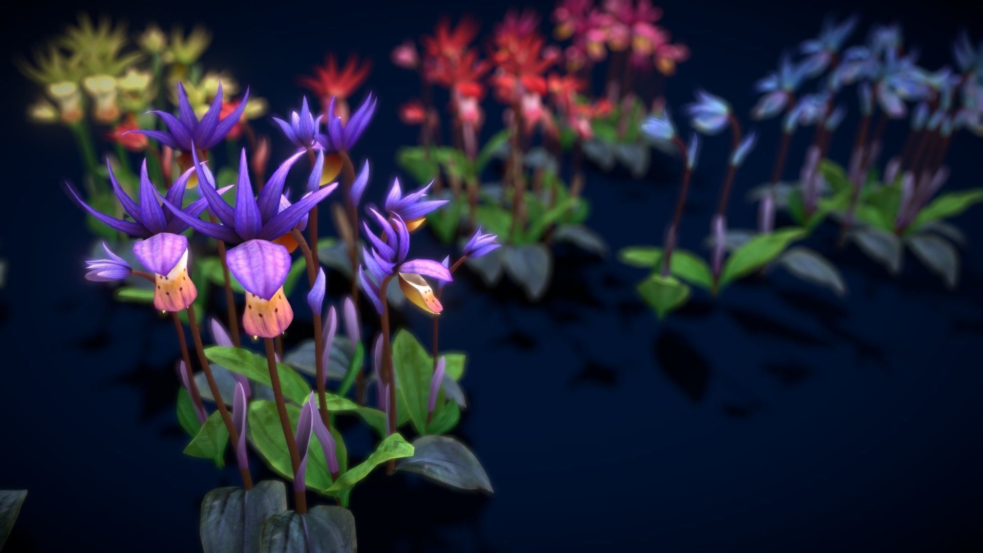 Flower Calypso Bulbosa Low-poly 3D model_2