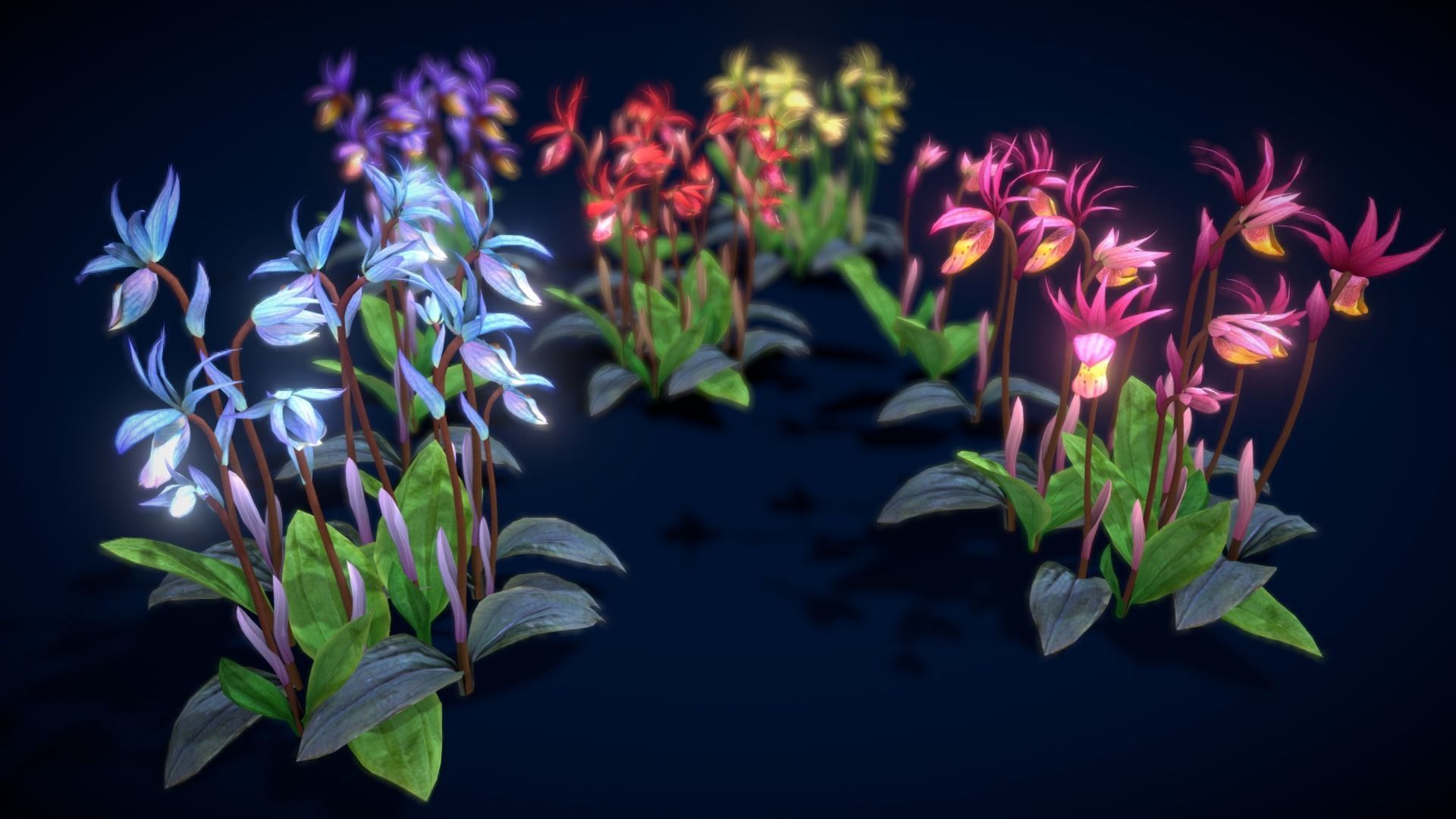 Flower Calypso Bulbosa Low-poly 3D model_4