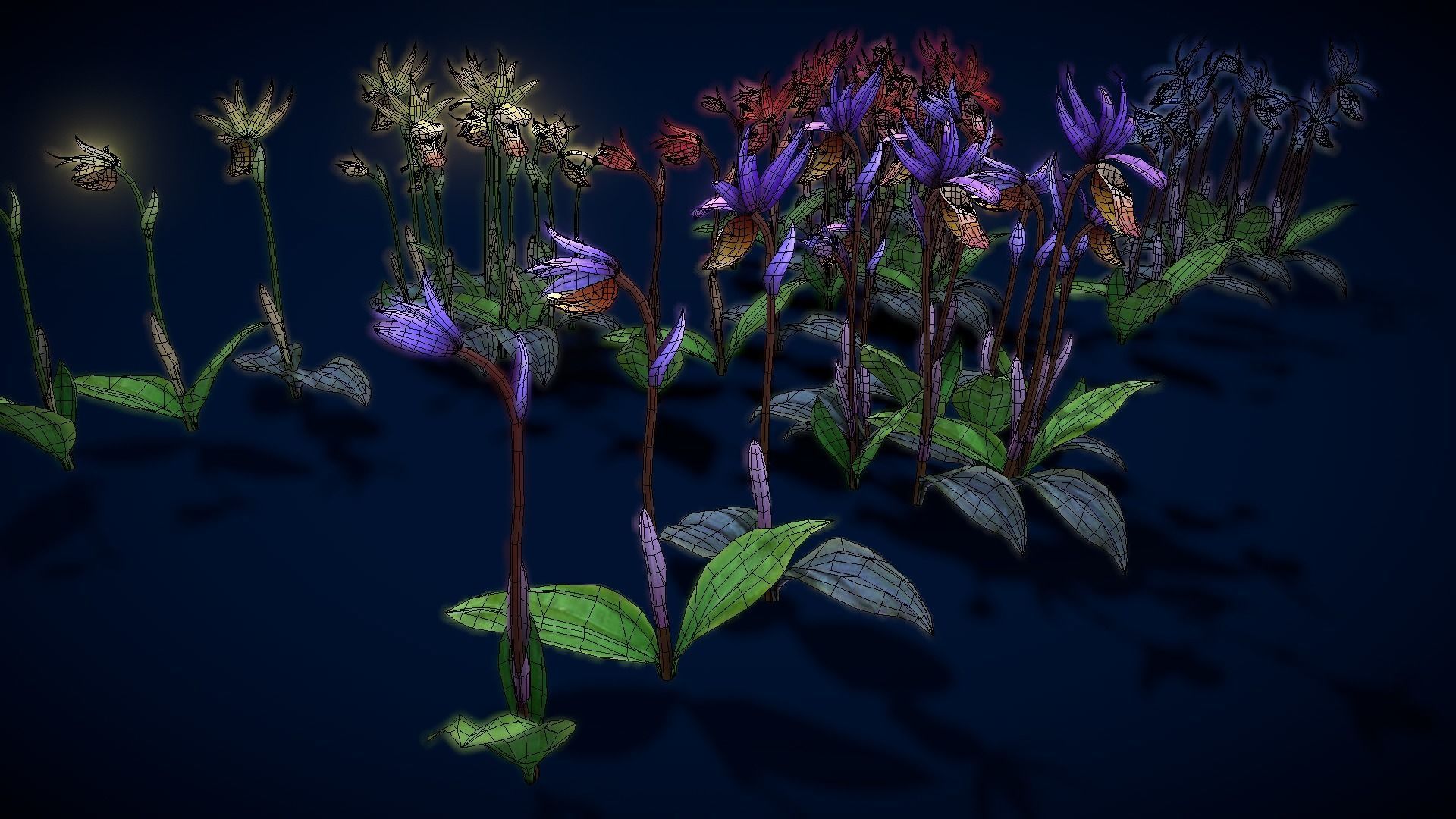 Flower Calypso Bulbosa Low-poly 3D model_16