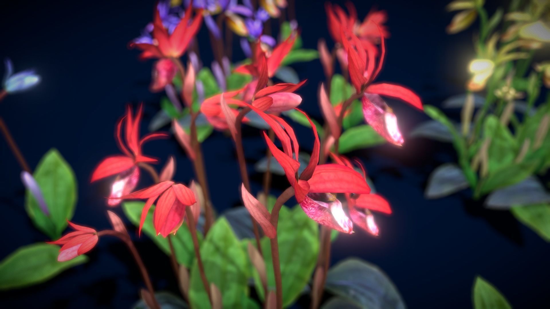 Flower Calypso Bulbosa Low-poly 3D model_14