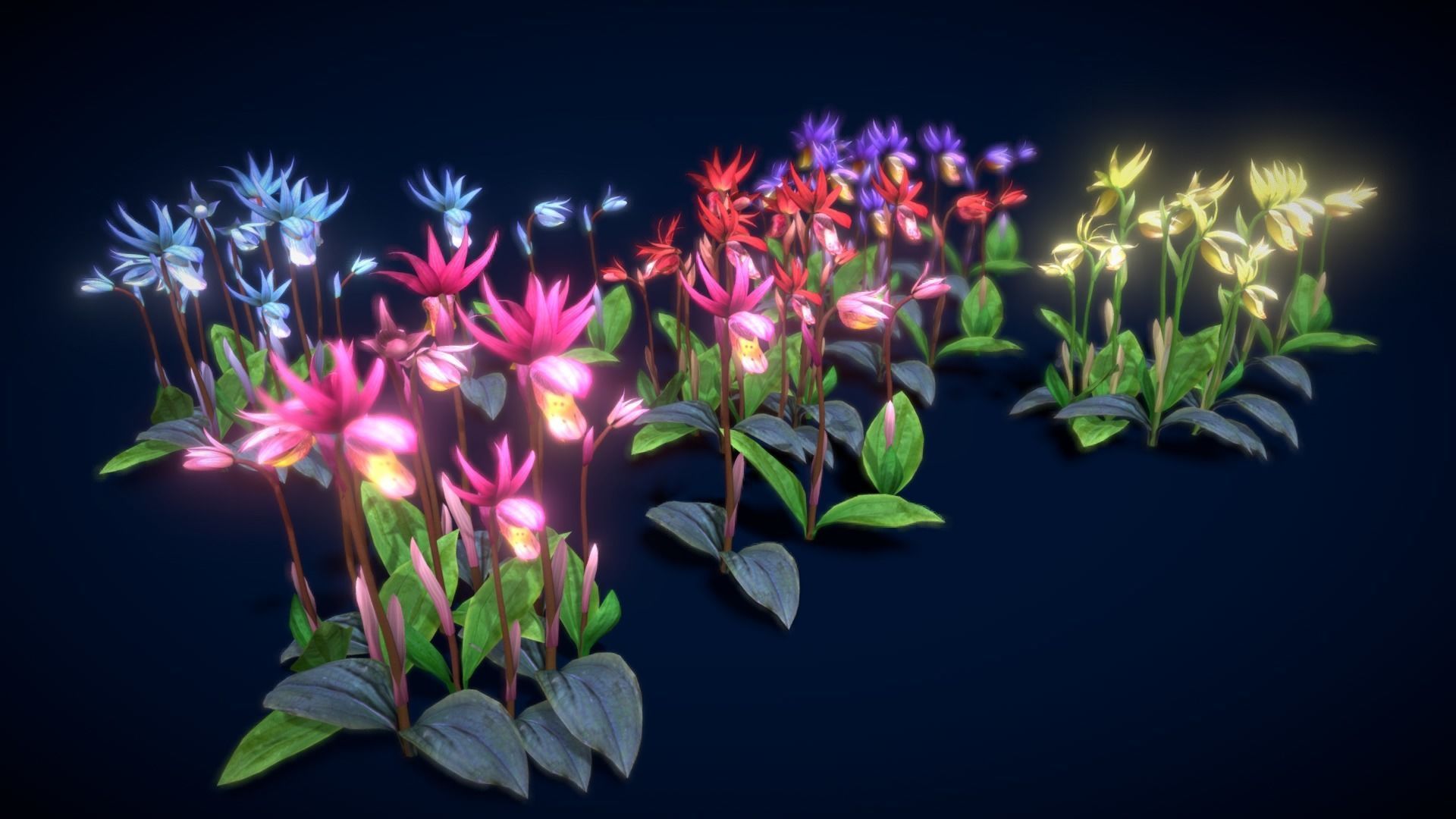 Flower Calypso Bulbosa Low-poly 3D model_1