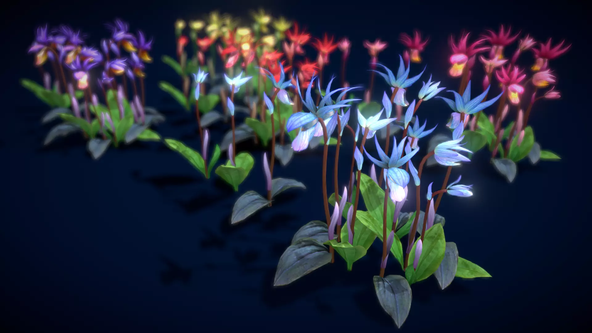 Flower Calypso Bulbosa Low-poly 3D model_0