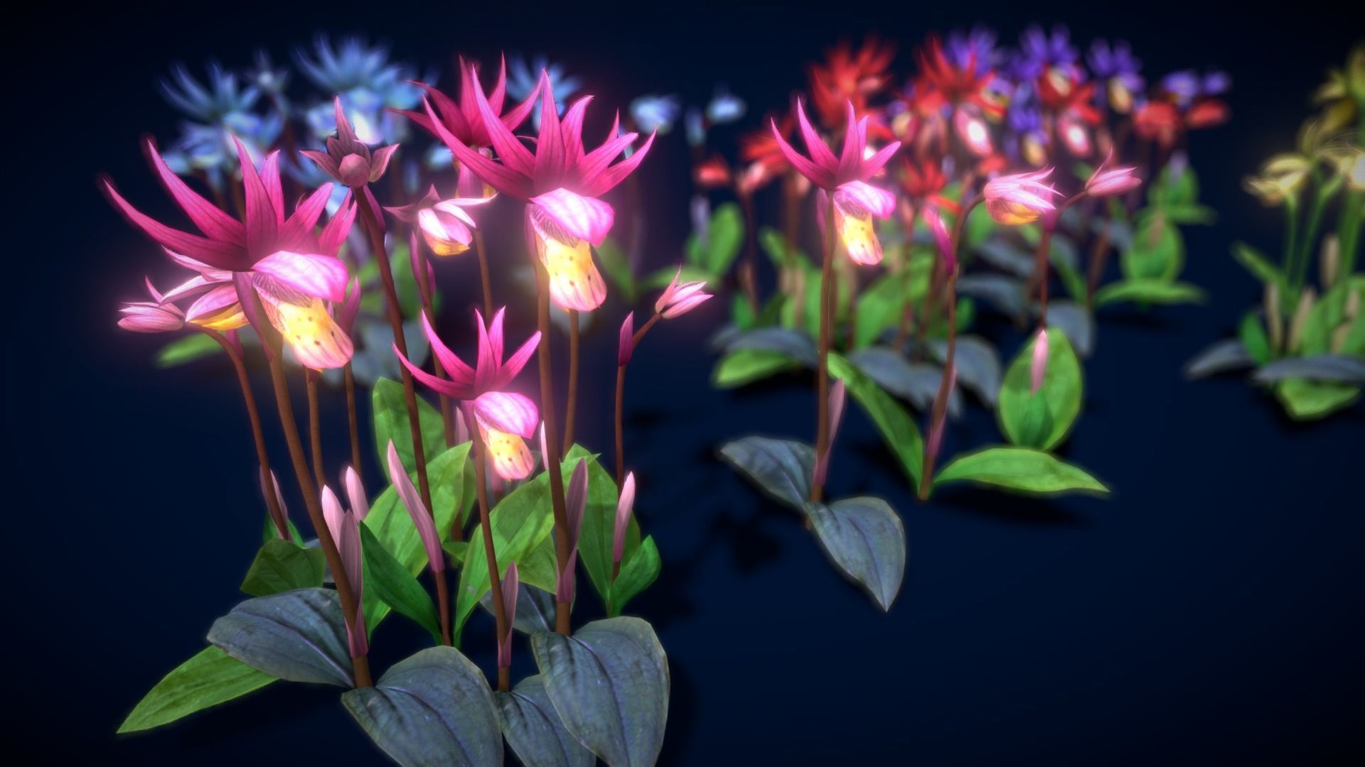 Flower Calypso Bulbosa Low-poly 3D model_18