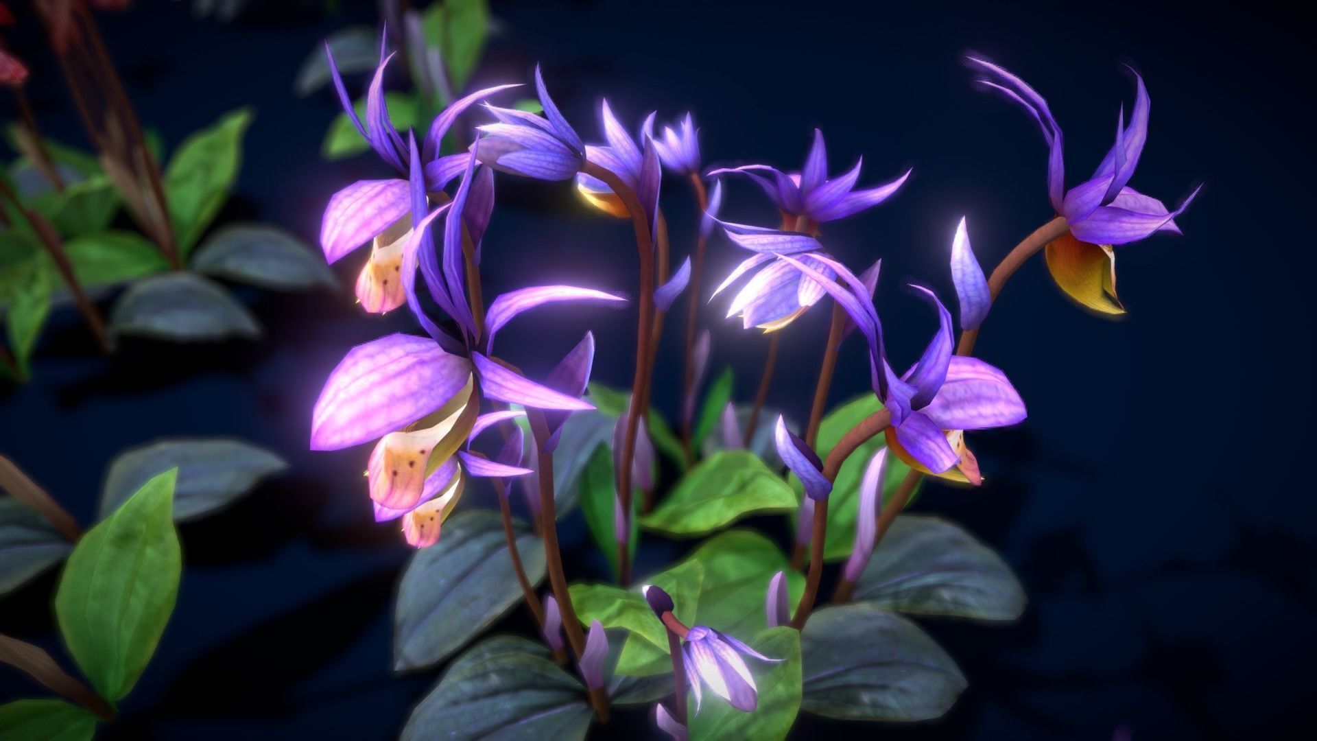 Flower Calypso Bulbosa Low-poly 3D model_15