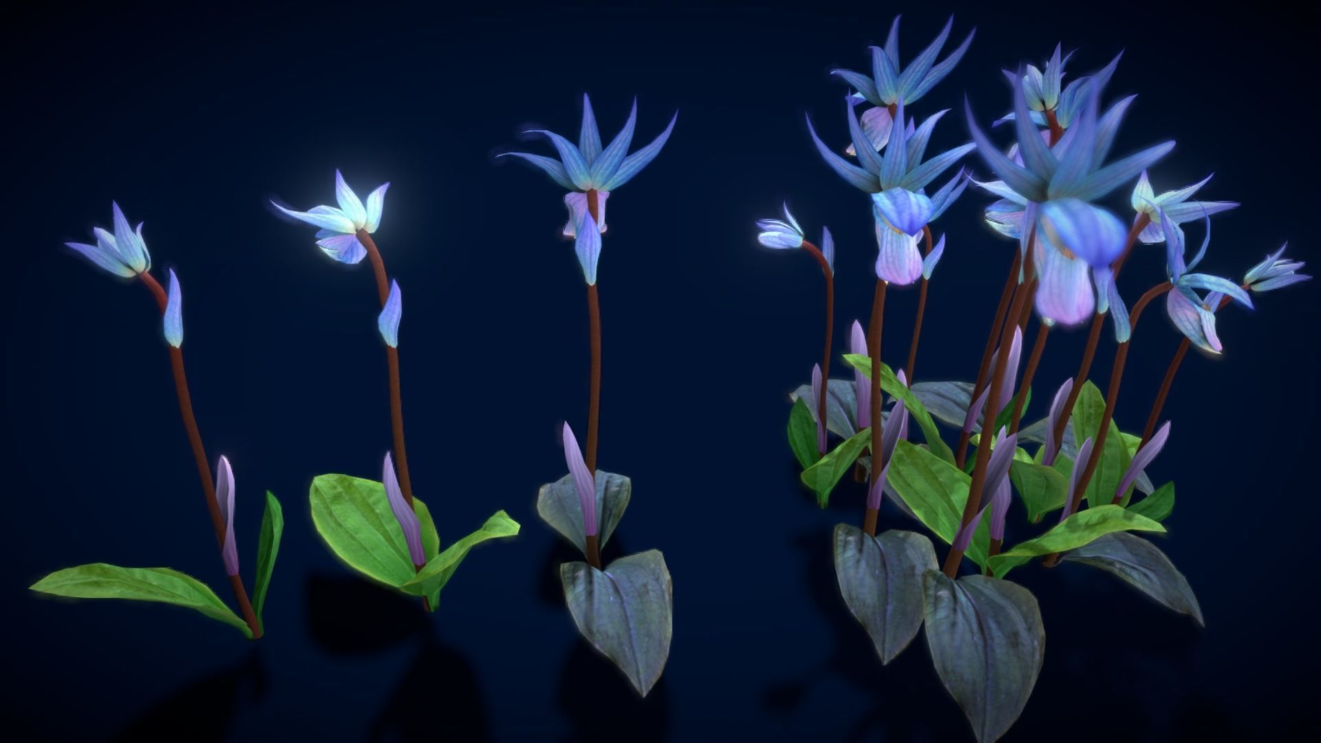 Flower Calypso Bulbosa Low-poly 3D model_11