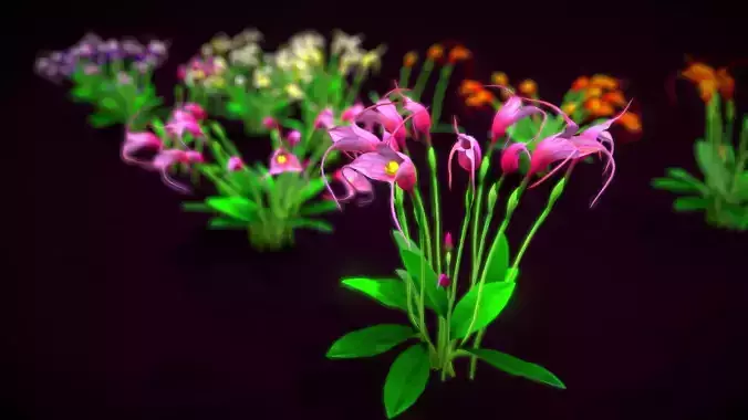 Flower Masdevallia Limax