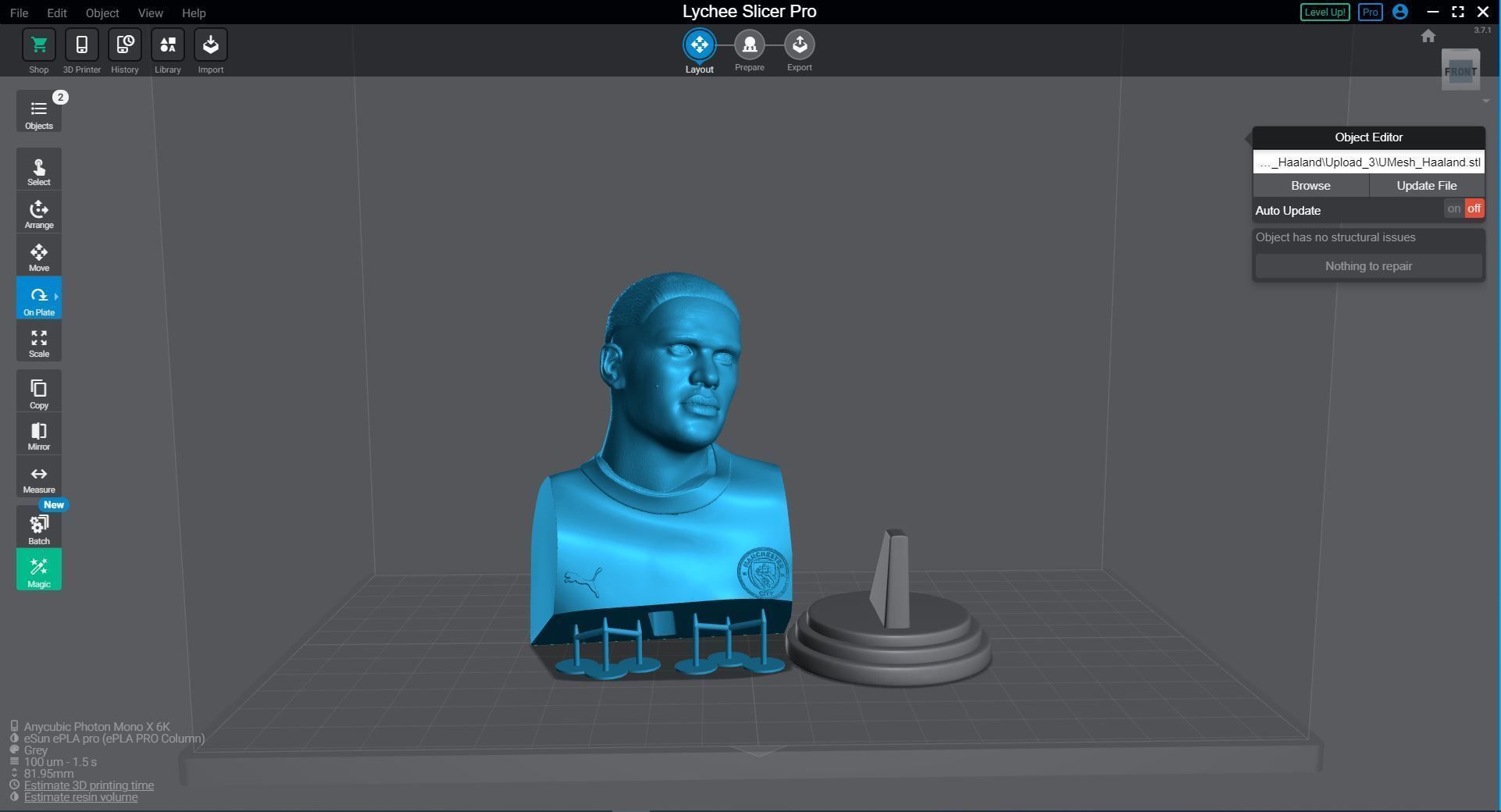 Erling Haaland 3D Printable Bust 3D print model_2
