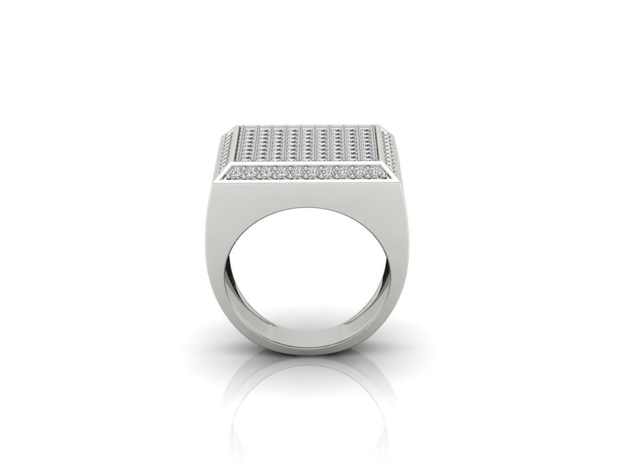 Ring 172 3D print model_4