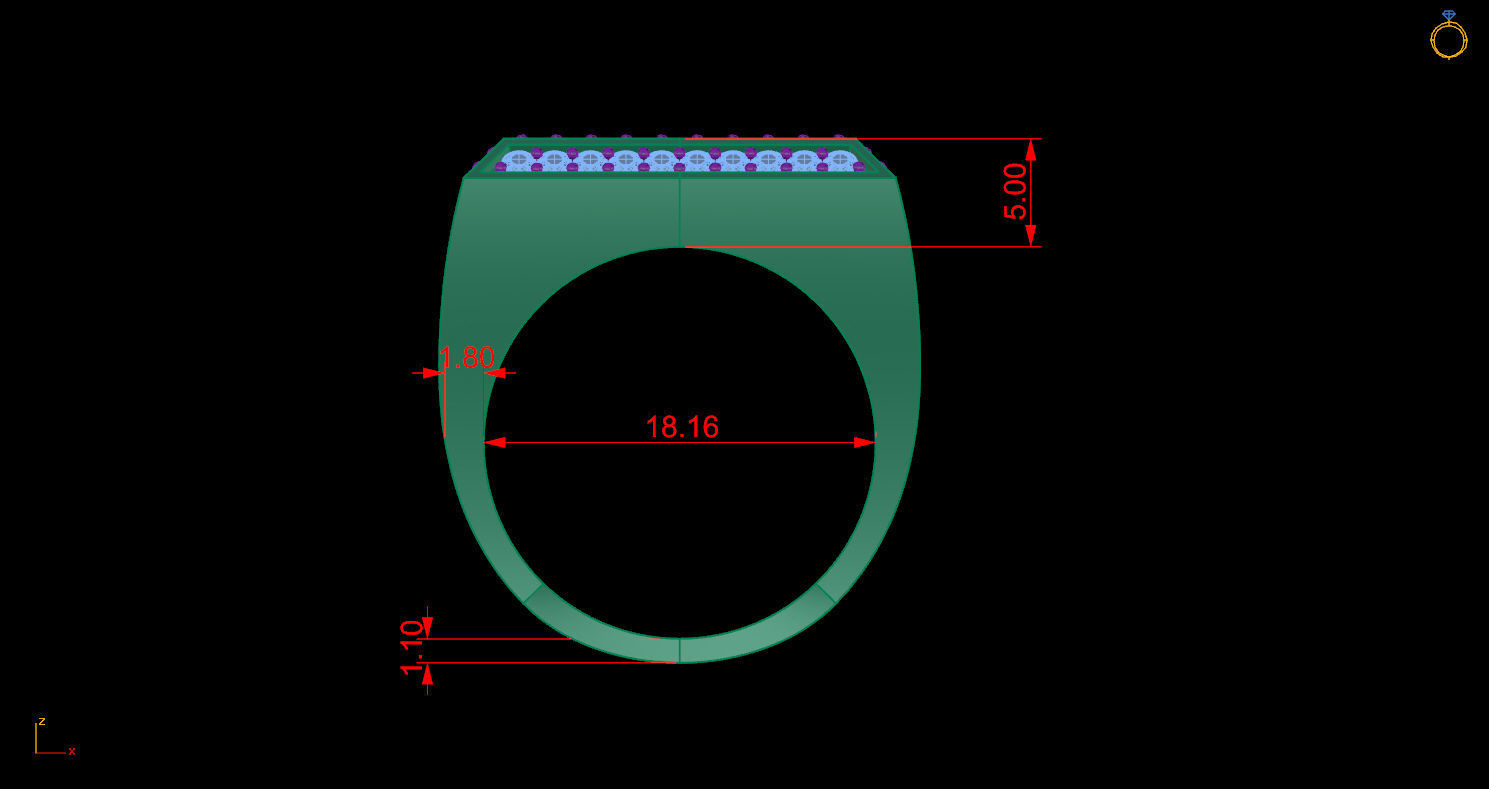 Ring 172 3D print model_11