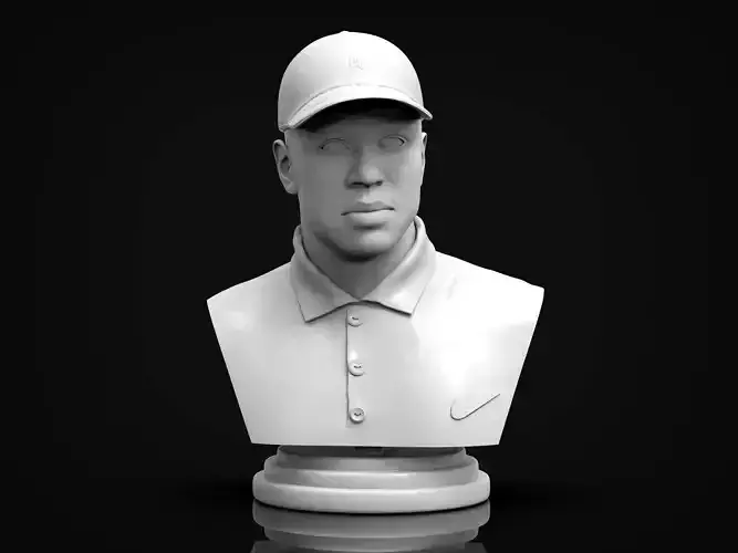 Tiger Wood 3D Printable Bust 3D print model