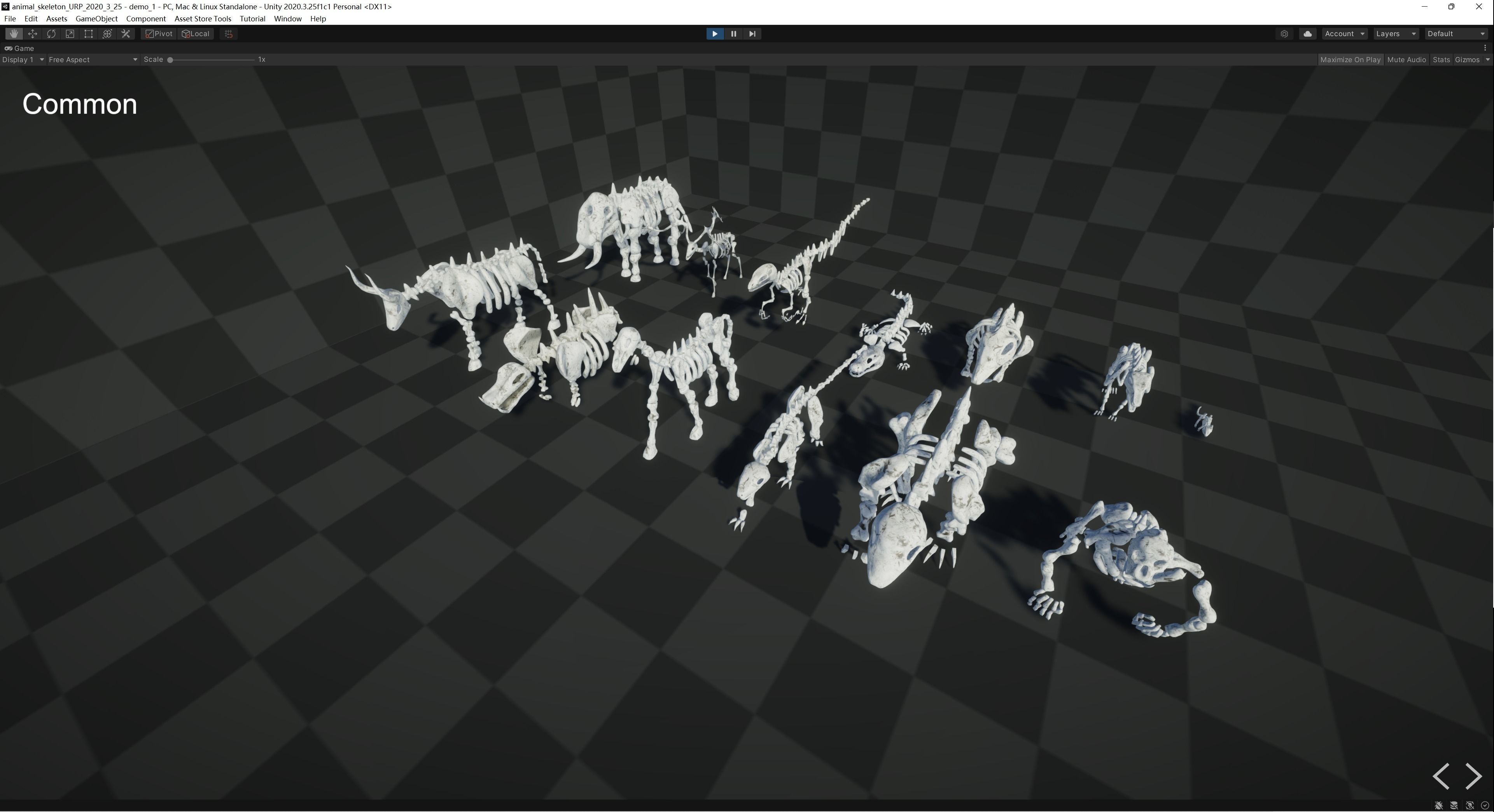 Animal Skeletons Low-poly 3D model_5