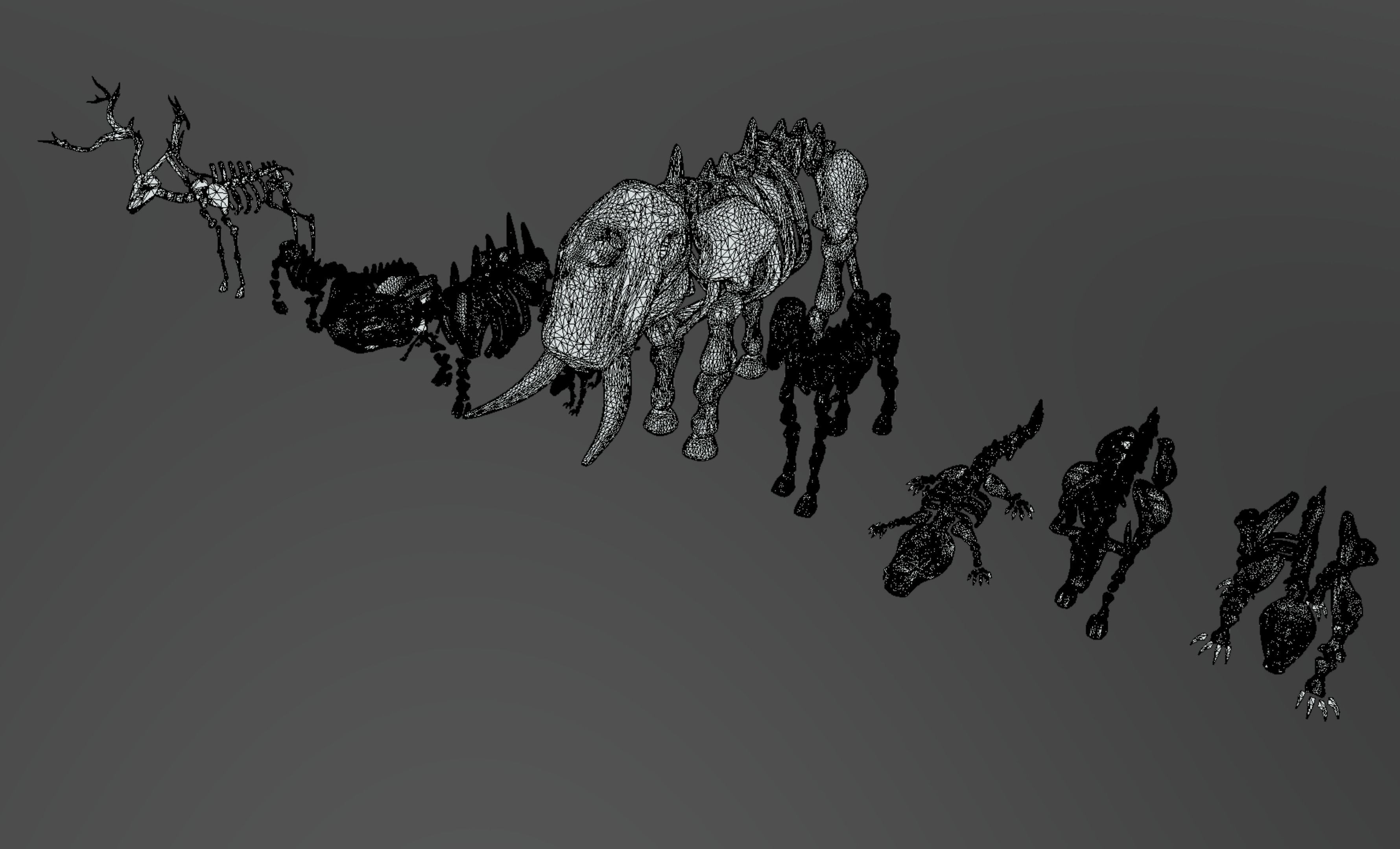 Animal Skeletons Low-poly 3D model_11