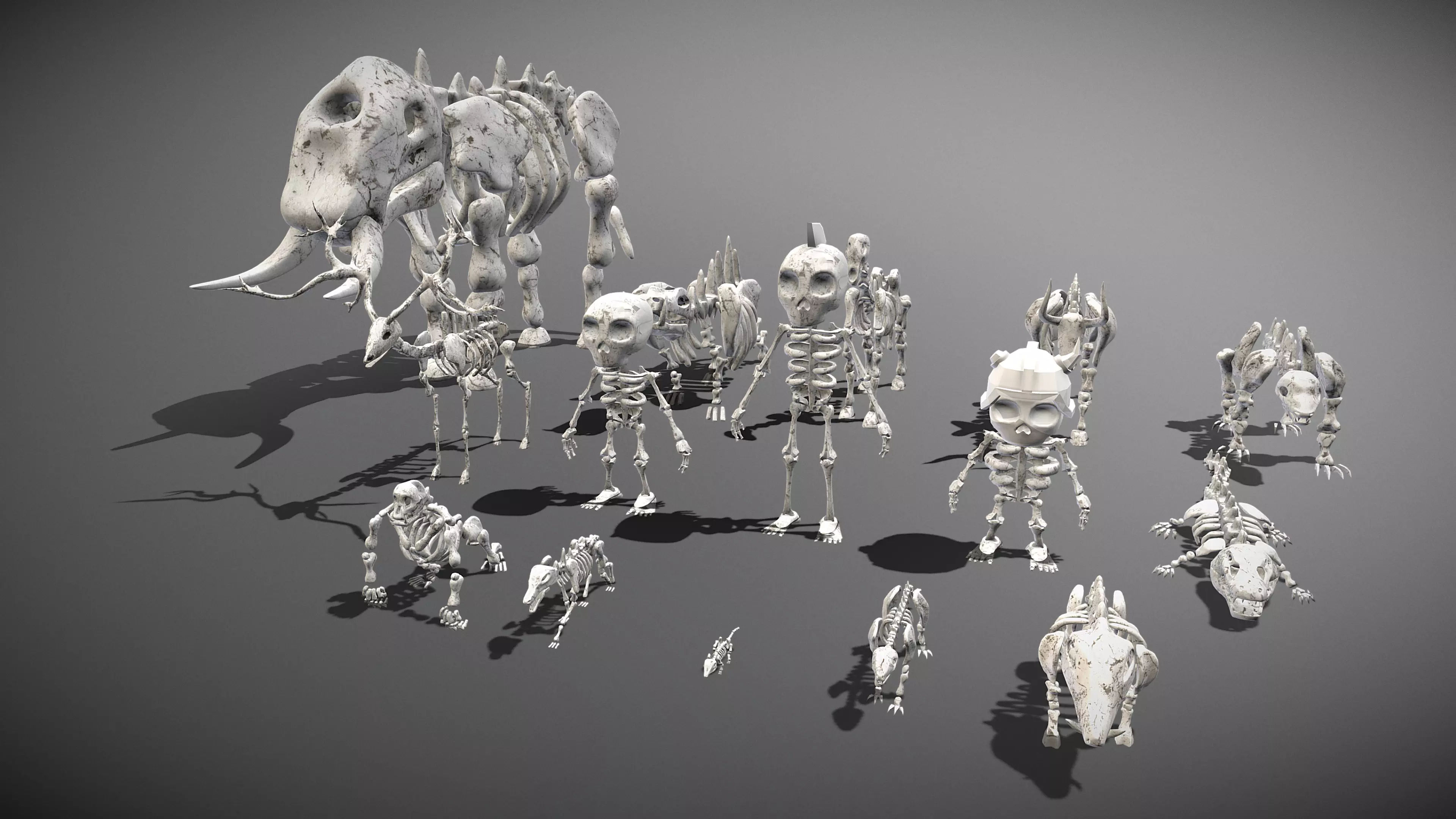 Animal Skeletons Low-poly 3D model_0