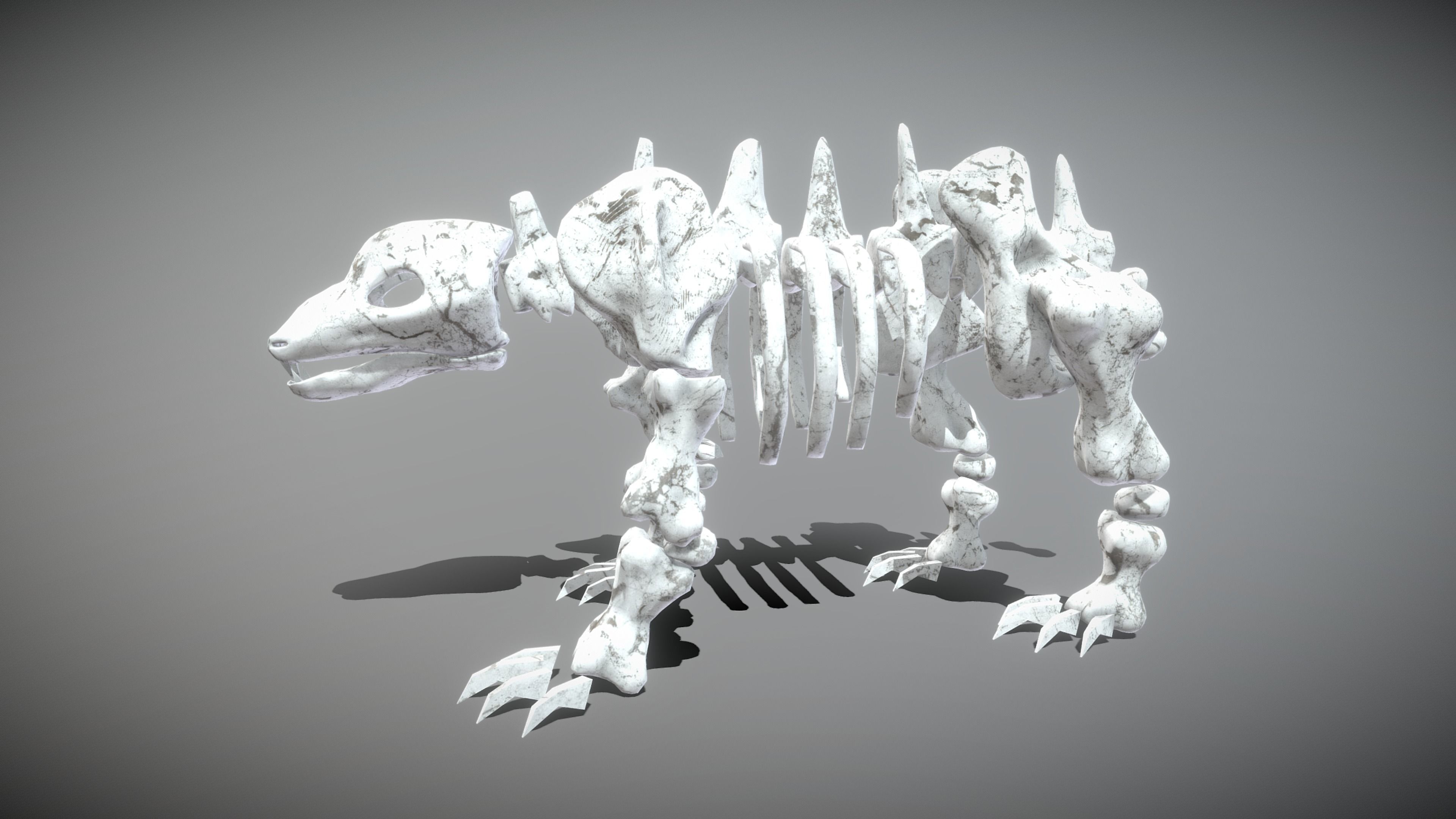 Animal Skeletons Low-poly 3D model_18