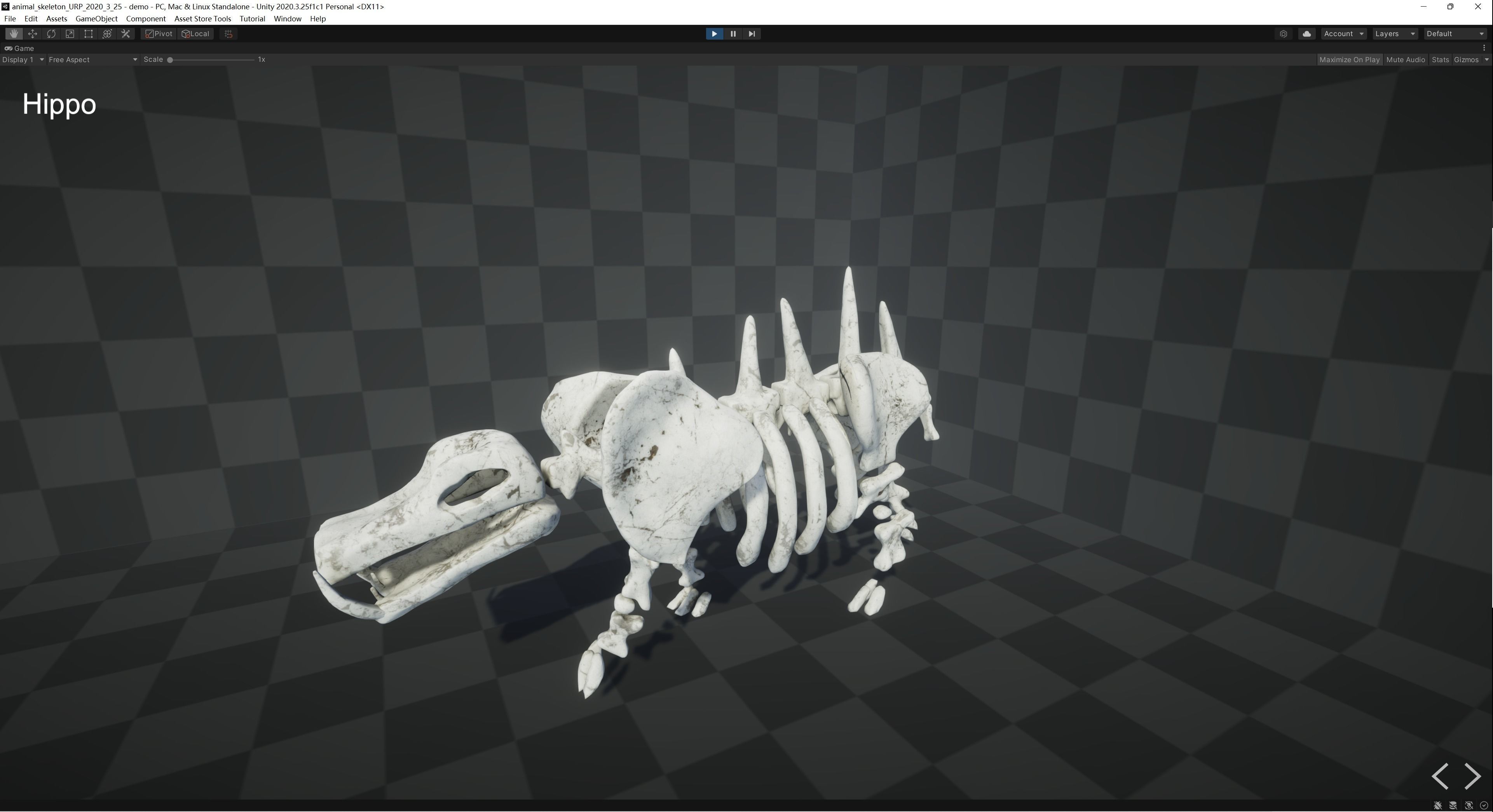 Animal Skeletons Low-poly 3D model_29
