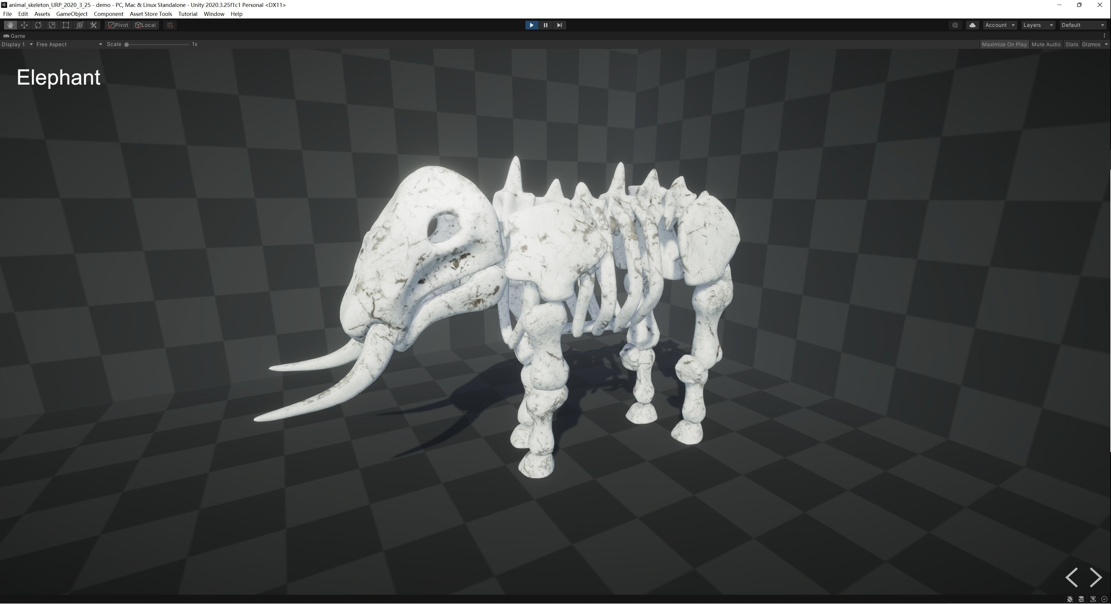 Animal Skeletons Low-poly 3D model_33