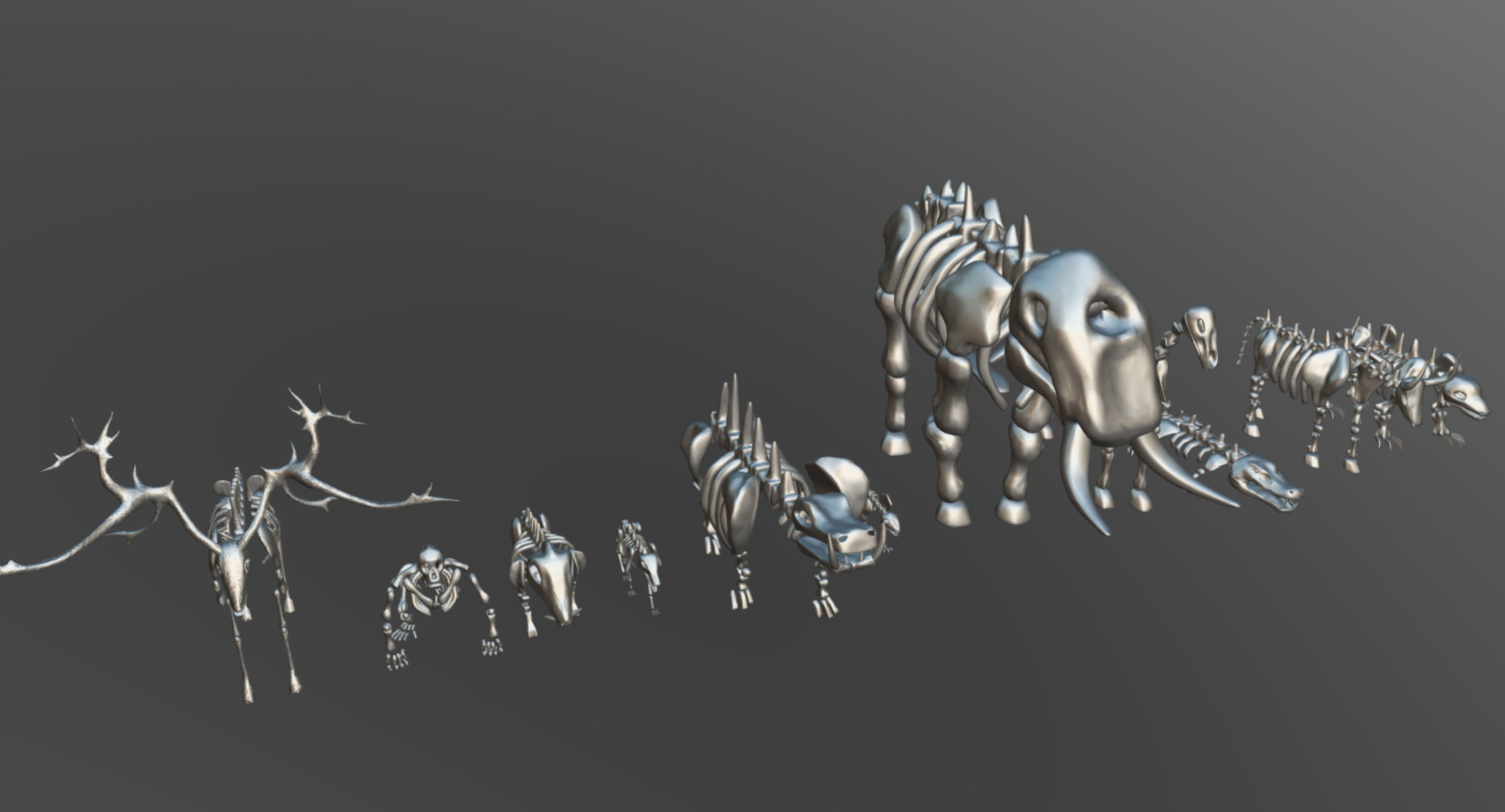 Animal Skeletons Low-poly 3D model_10