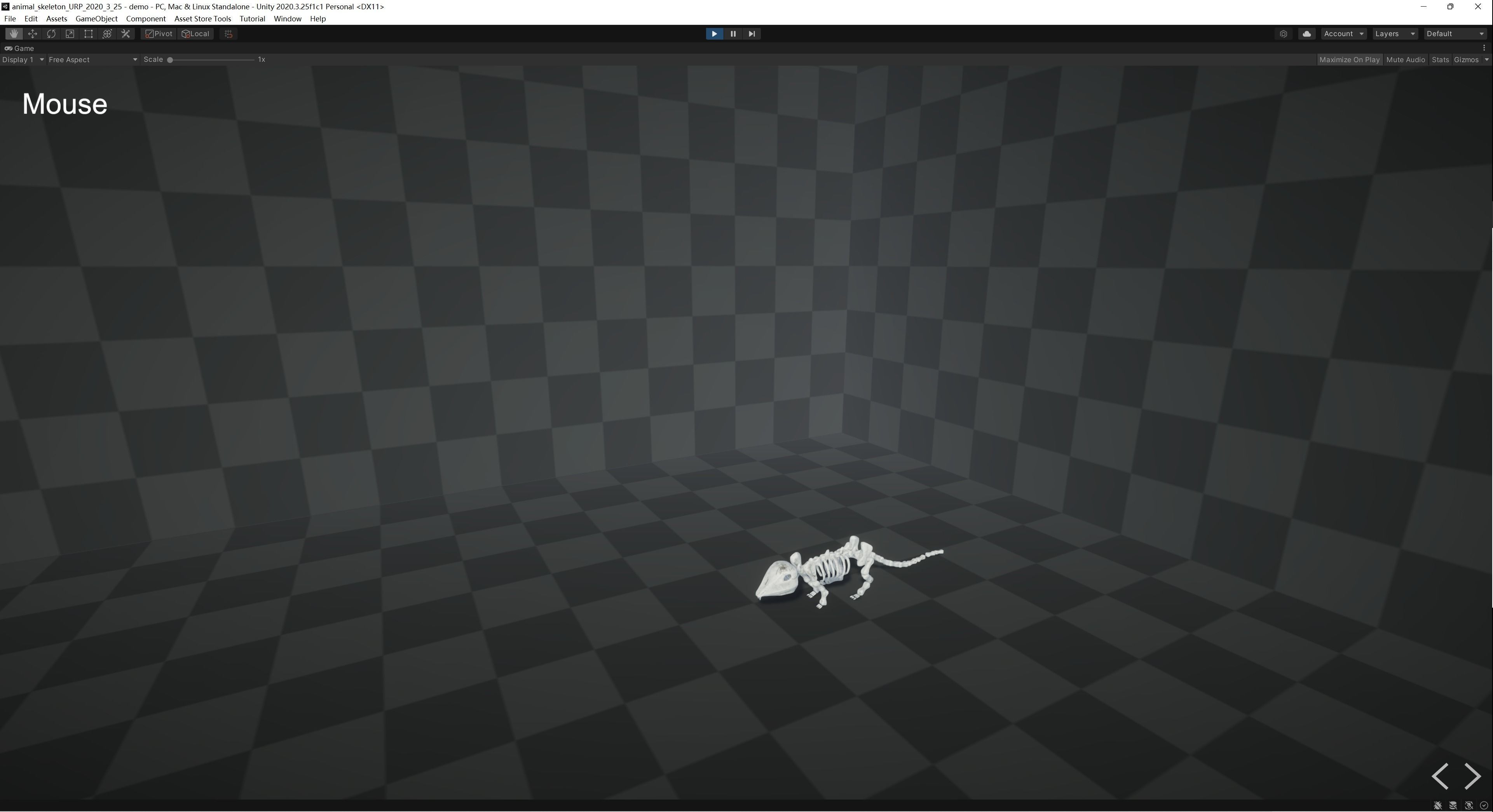 Animal Skeletons Low-poly 3D model_36