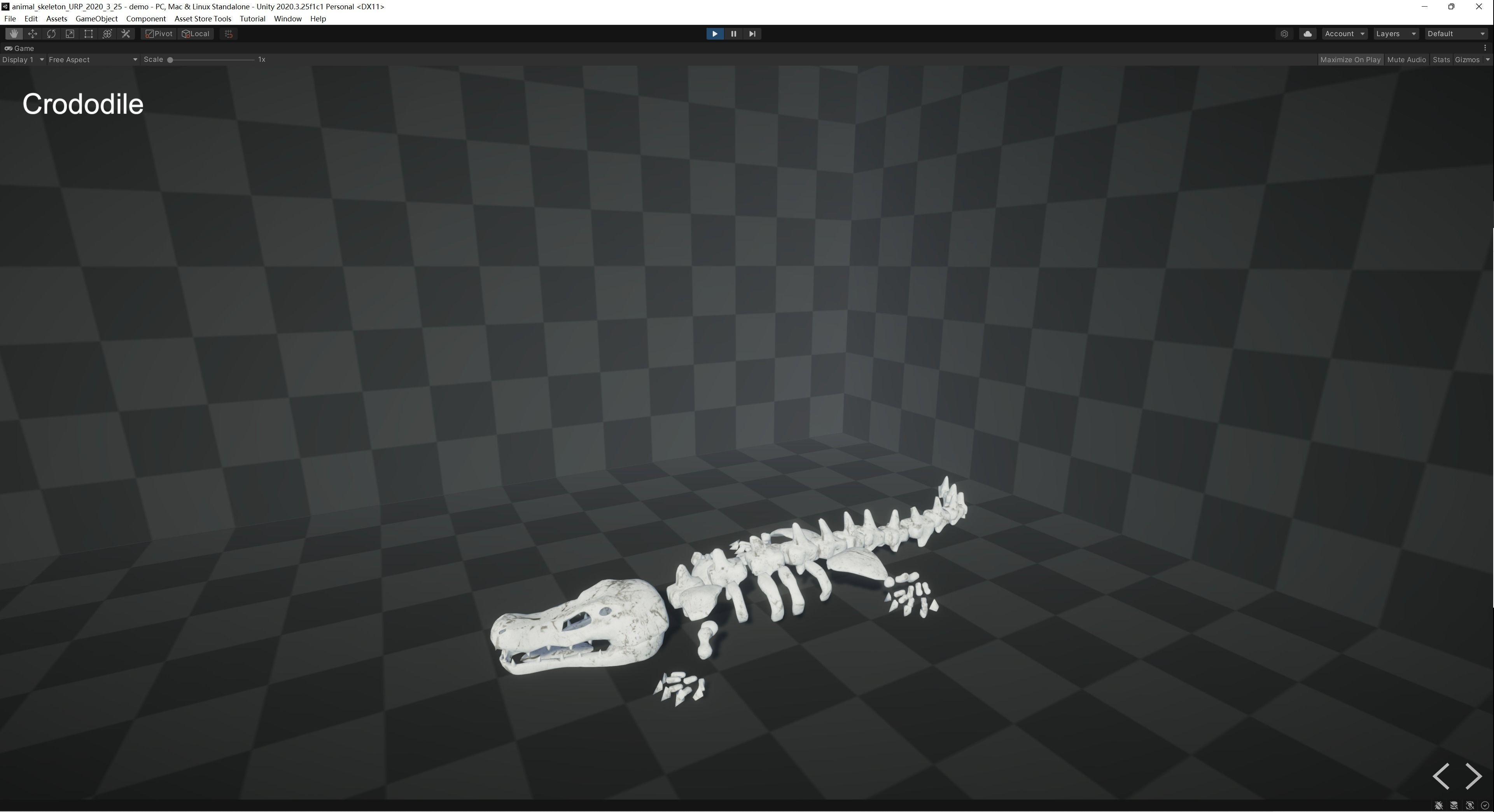 Animal Skeletons Low-poly 3D model_26