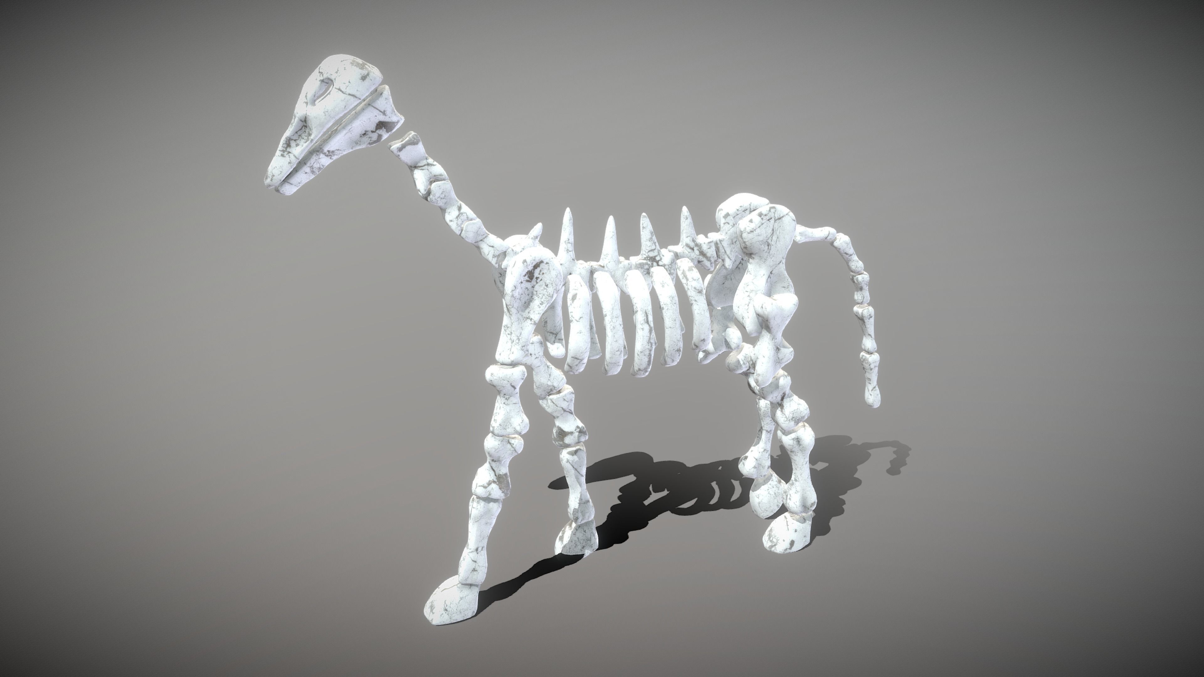 Animal Skeletons Low-poly 3D model_21