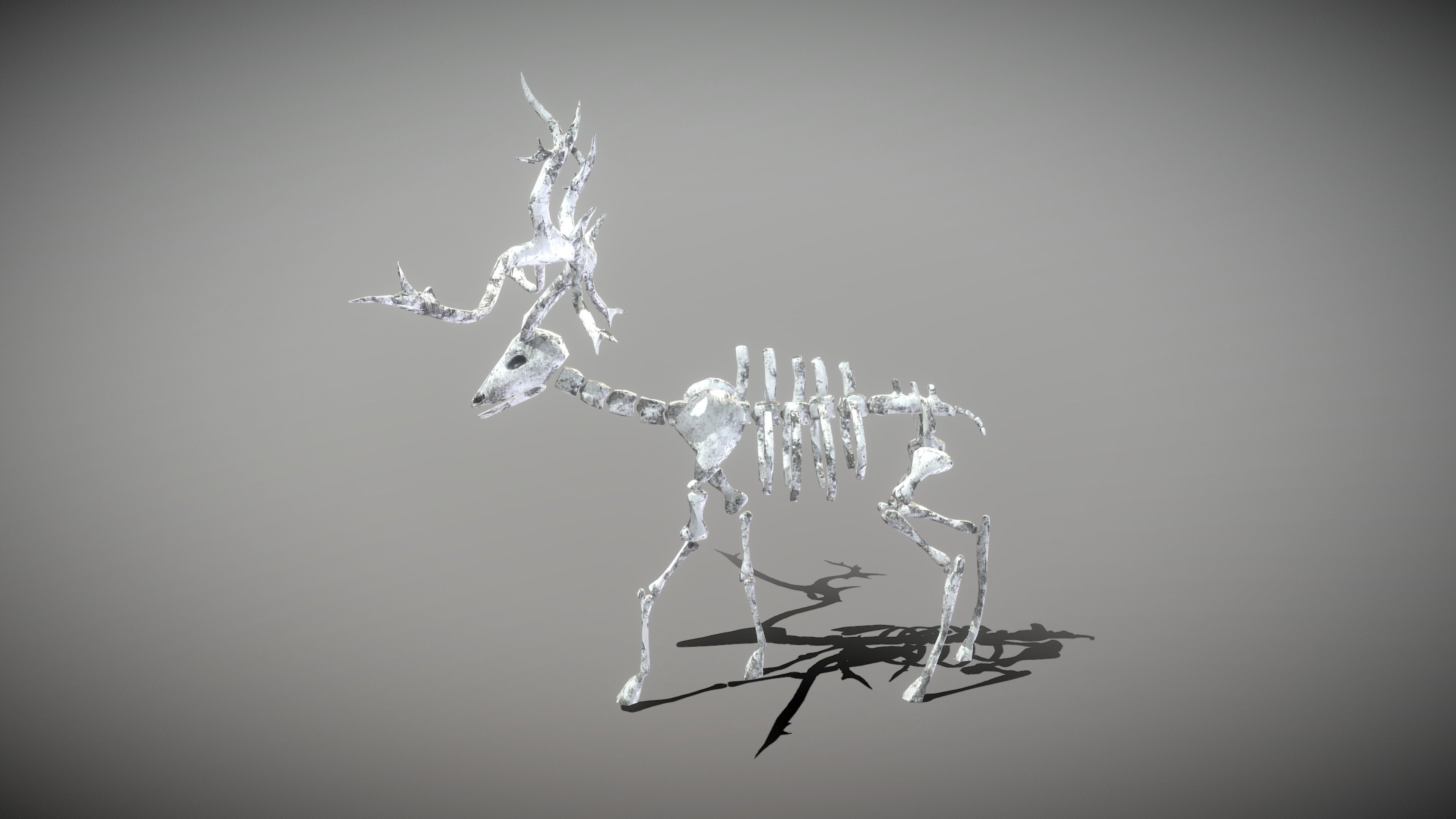 Animal Skeletons Low-poly 3D model_9