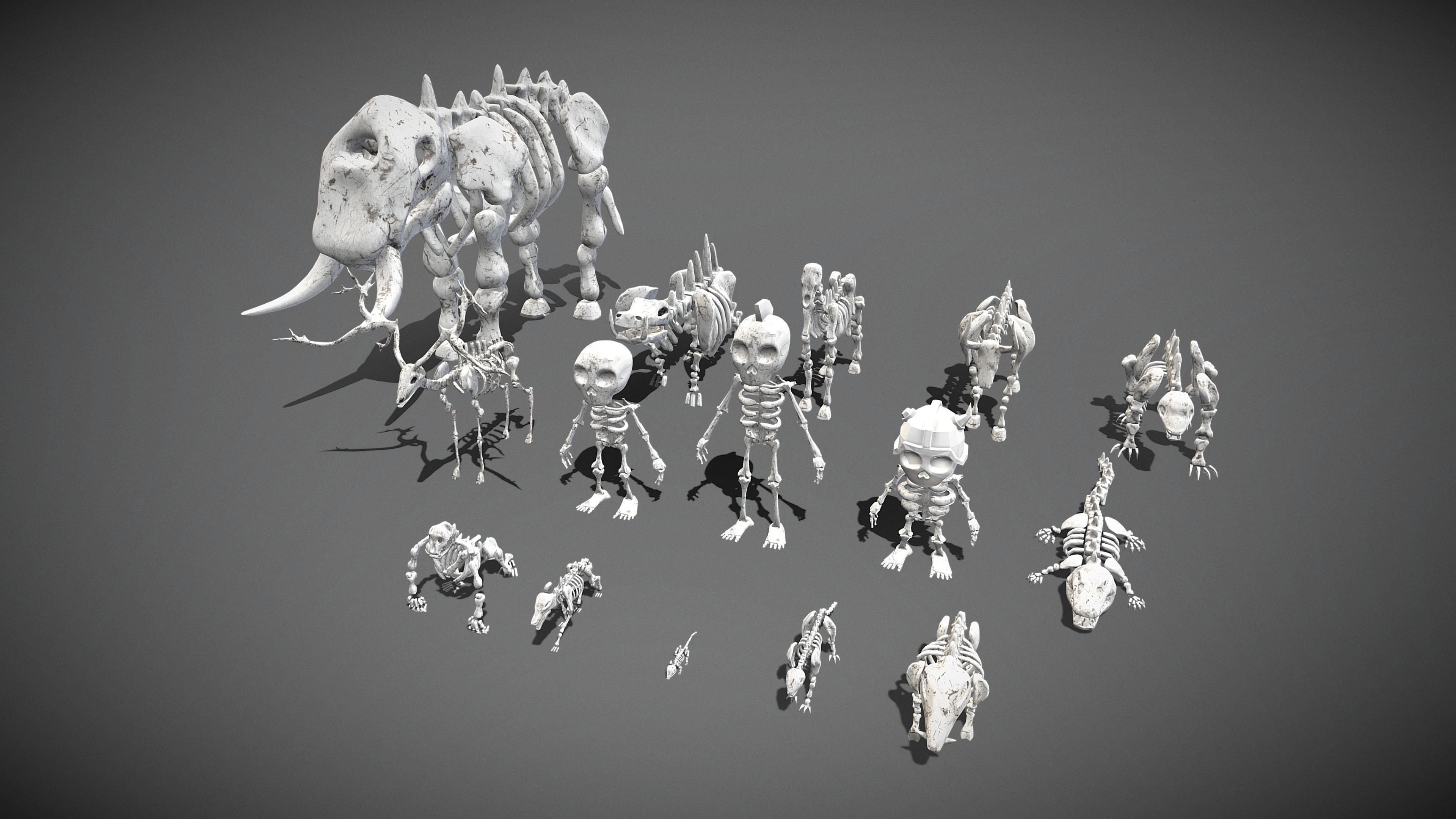 Animal Skeletons Low-poly 3D model_2