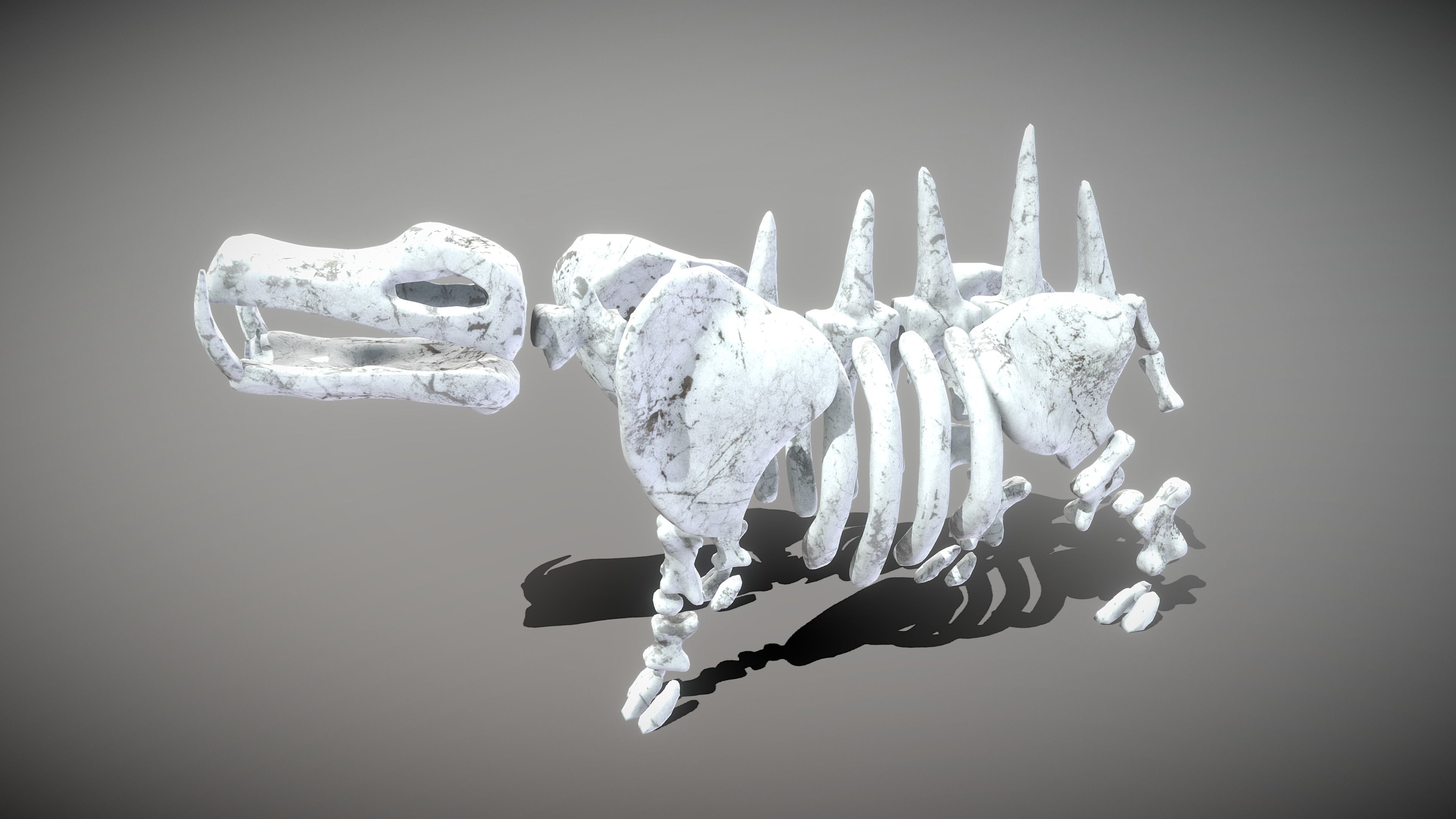 Animal Skeletons Low-poly 3D model_16