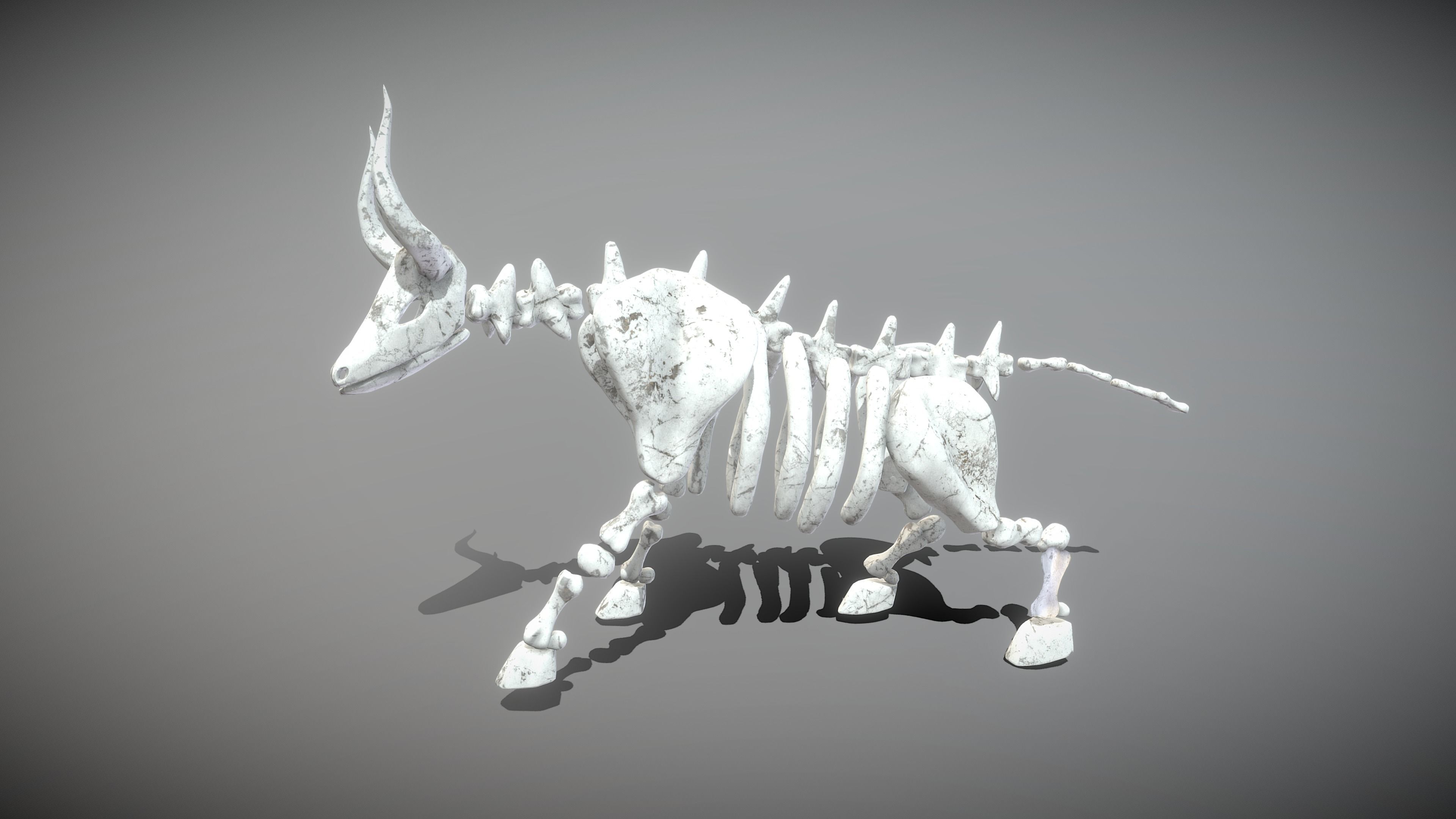 Animal Skeletons Low-poly 3D model_15