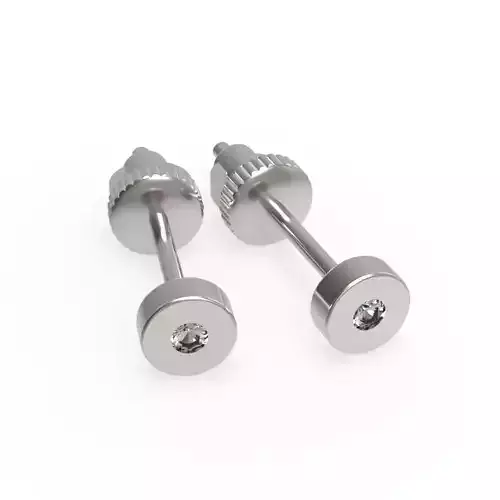 G0120 two silver stud earrings with diamonds