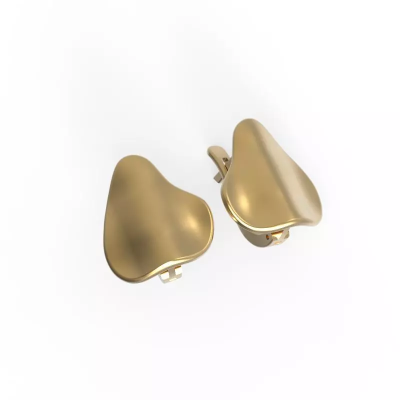 G0111 two gold plated earrings Free 3D print model