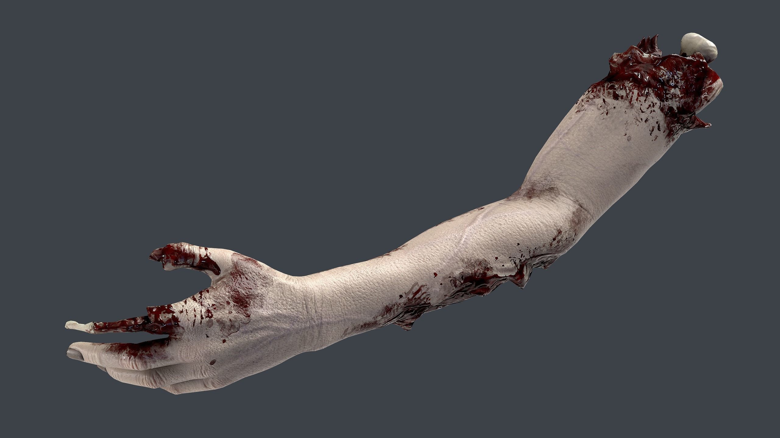 Severed Hand 3 Low-poly 3D model_4